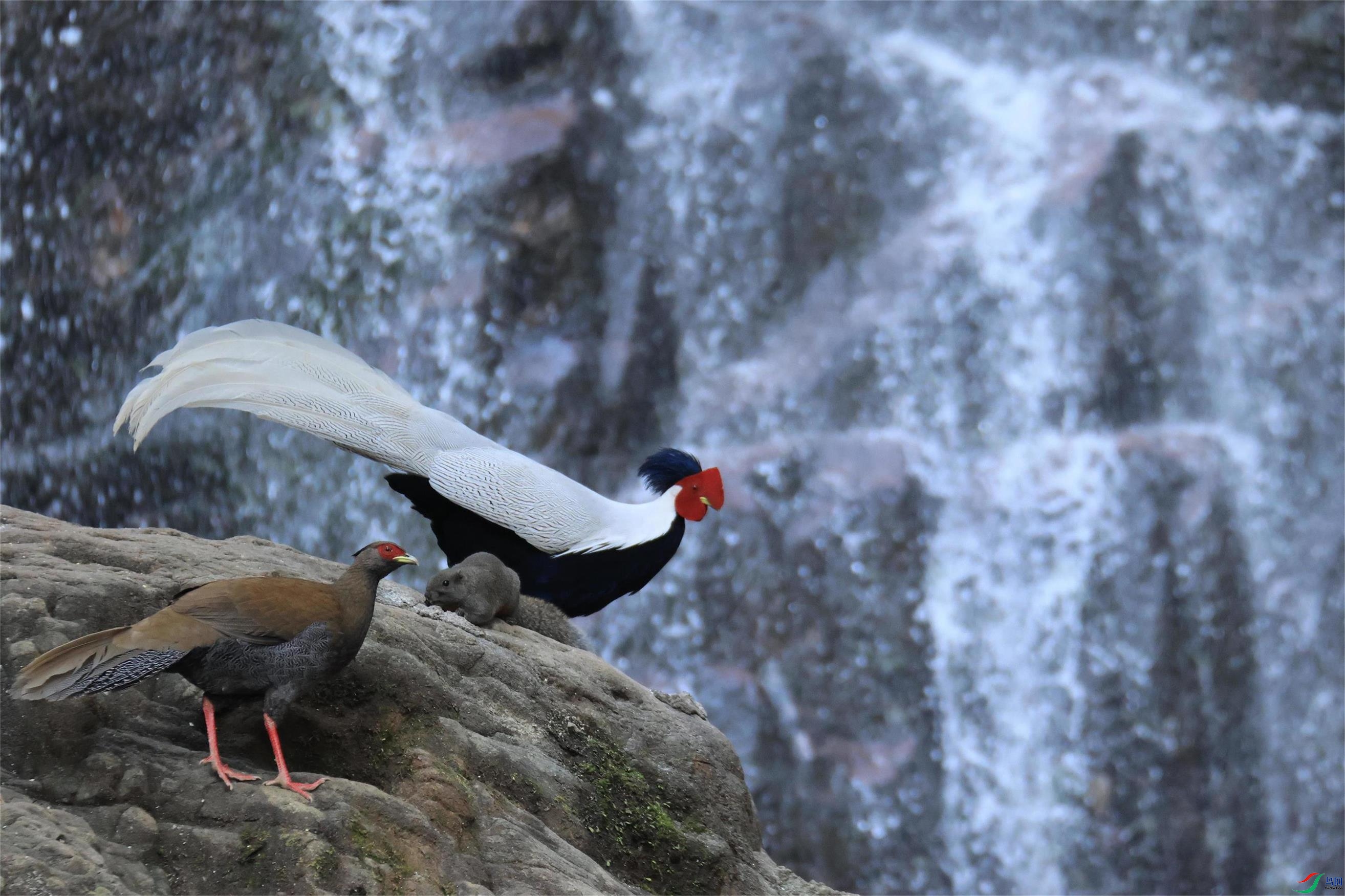 ����������