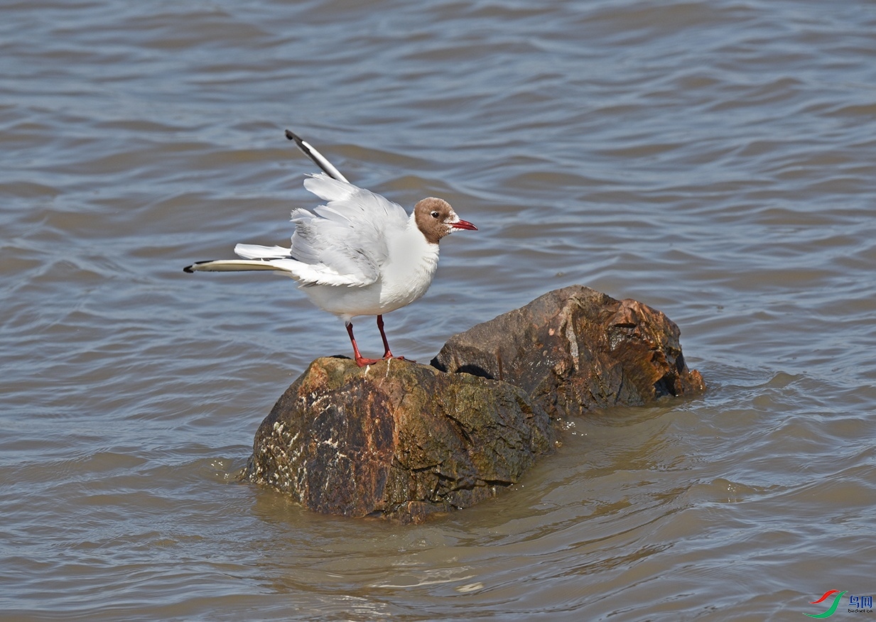 DSC_5205��һ��.jpg