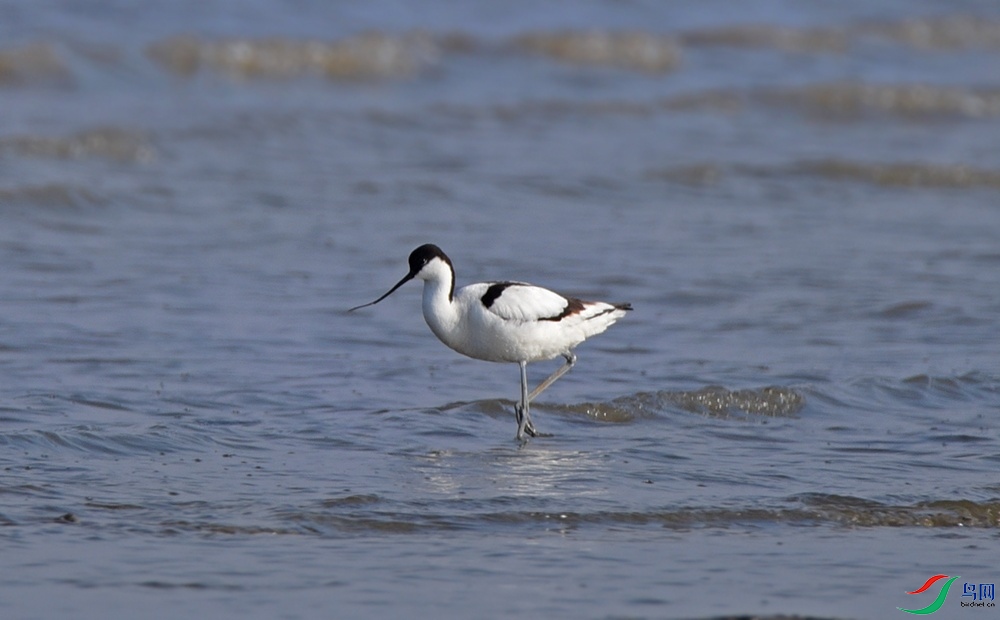 DSC_5904.jpg