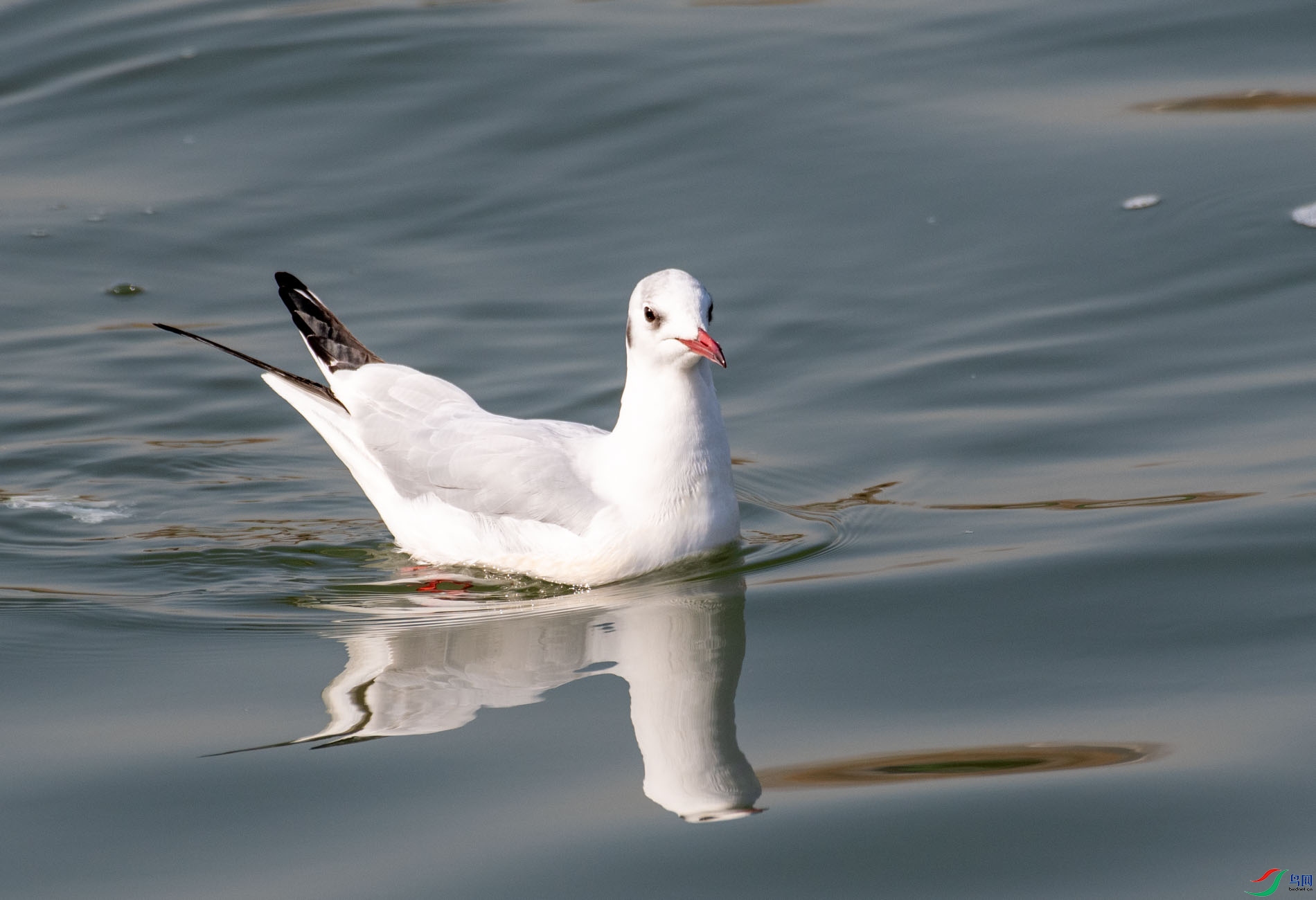 DSC_5272.jpg
