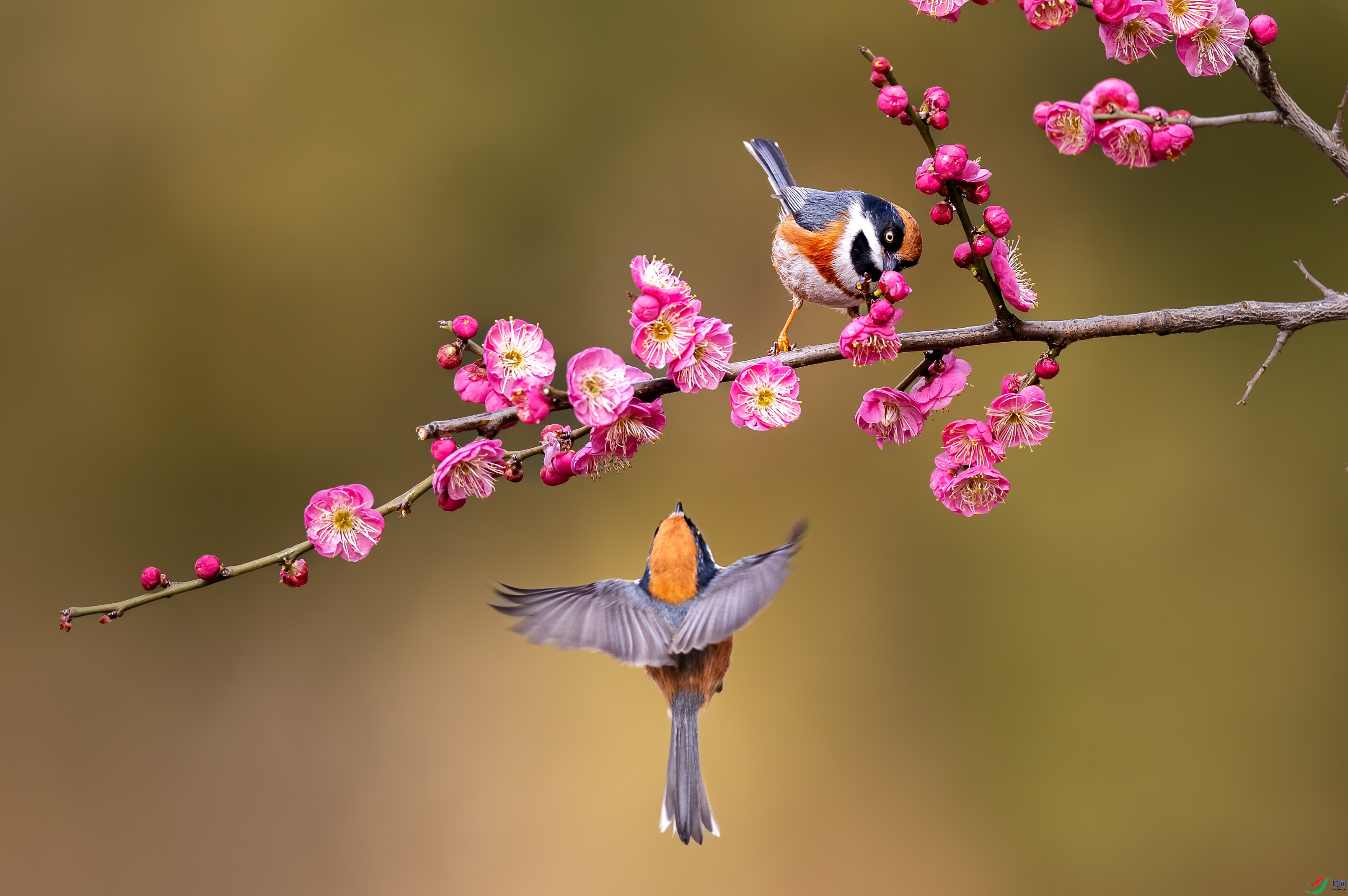 ��ͷӭ��0C4A5724.jpg