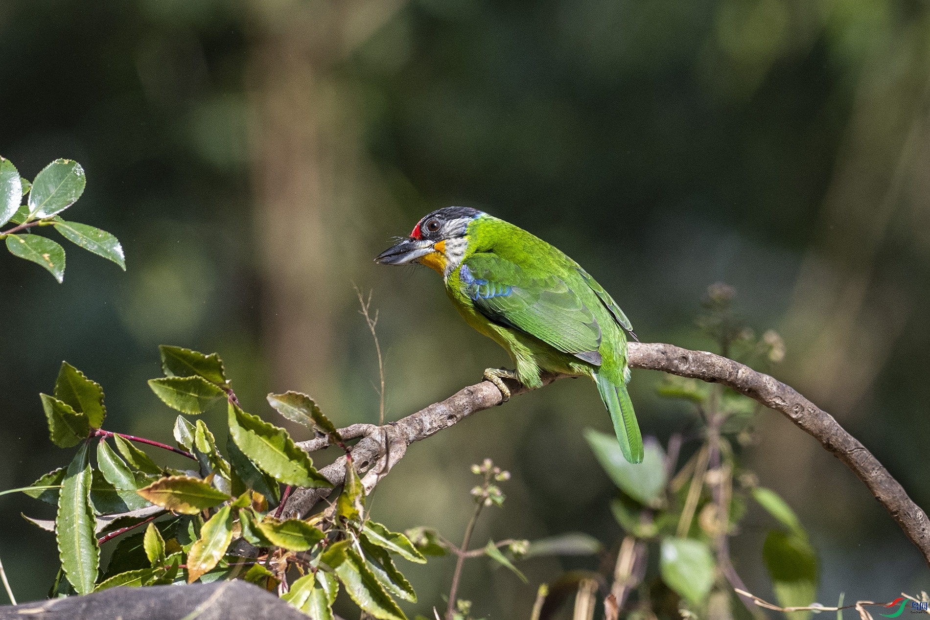 NIKON Z 9_20230301_120714.jpg