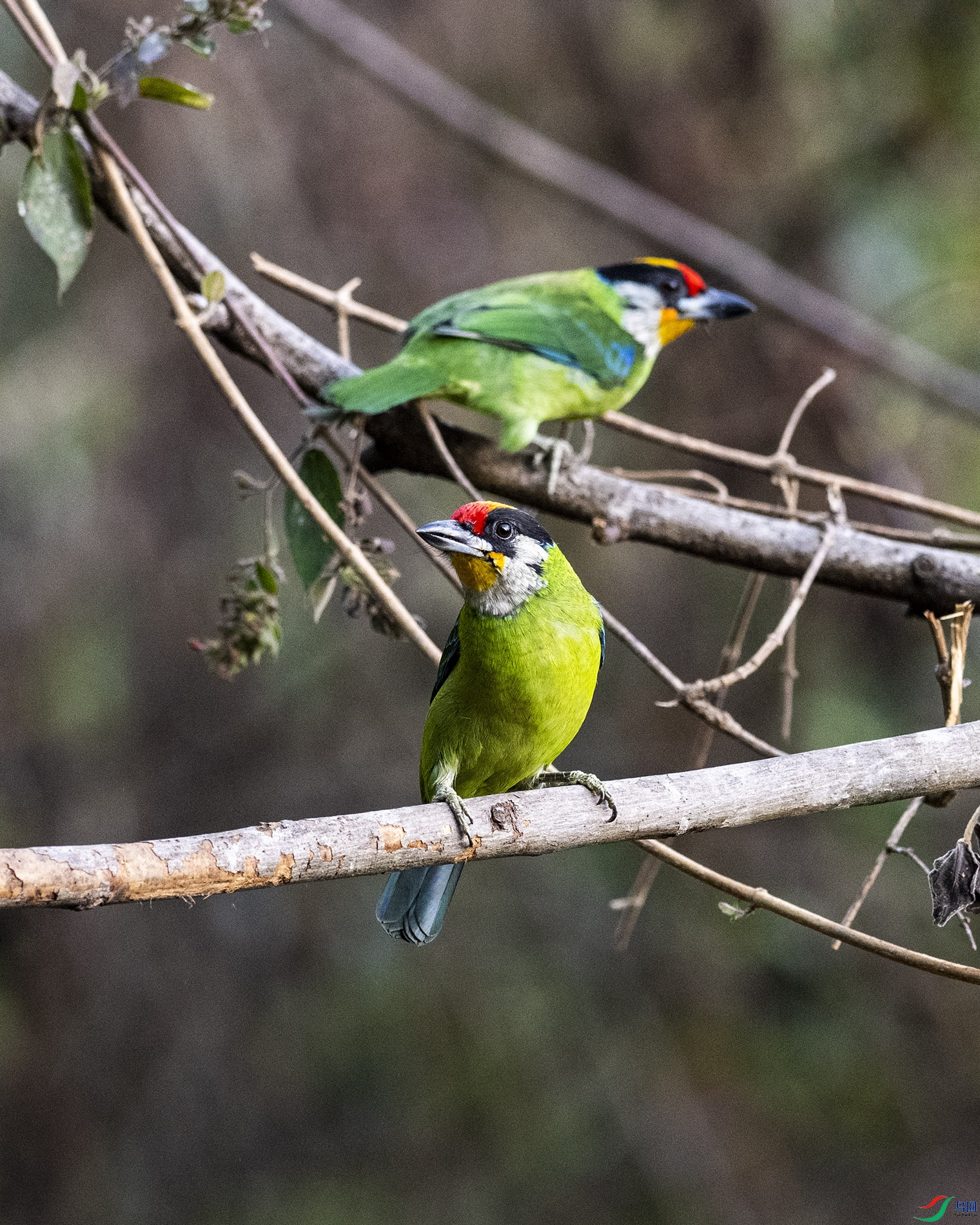 NIKON Z 9_20230301_084029.jpg