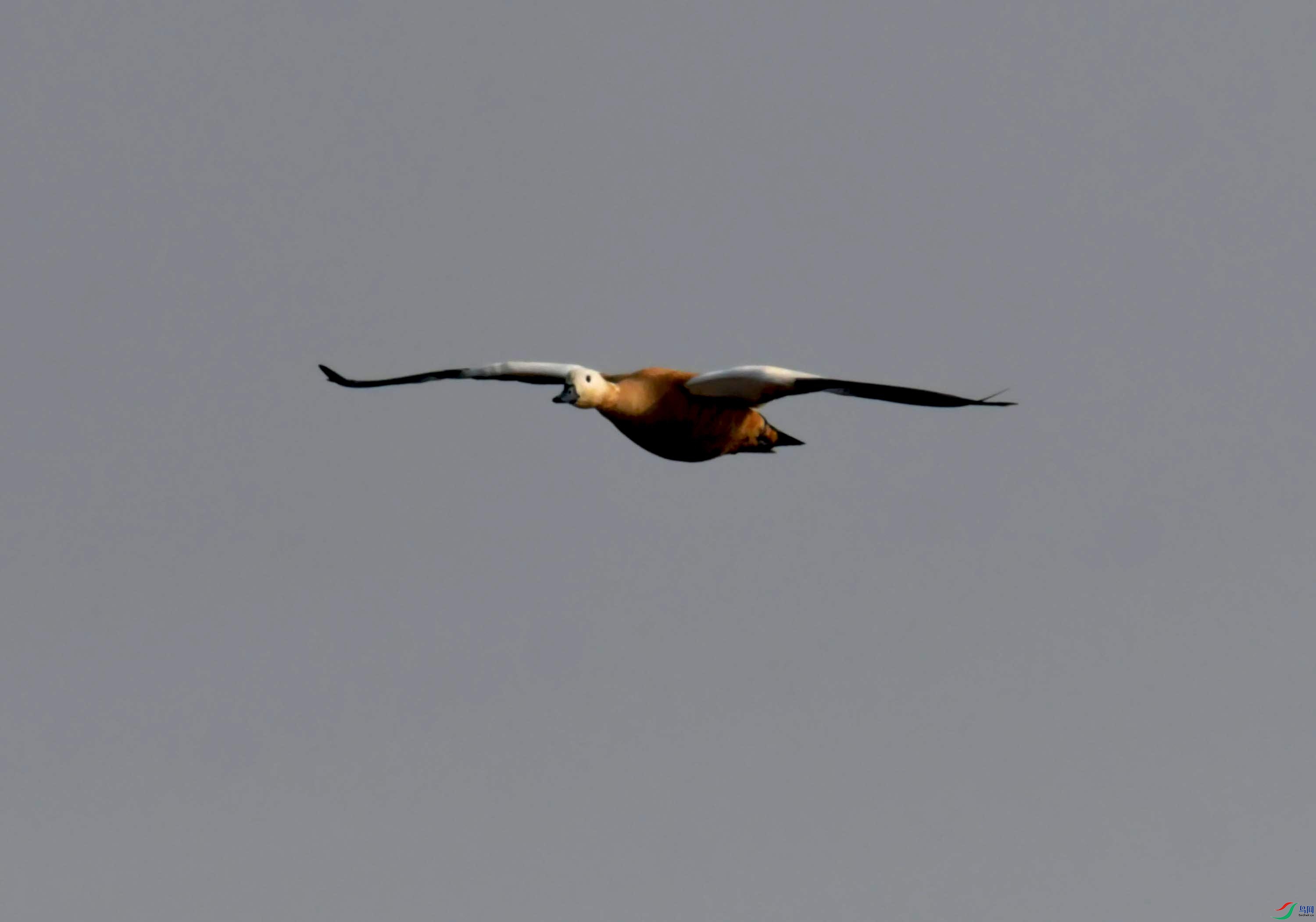 DSC_3508.JPG