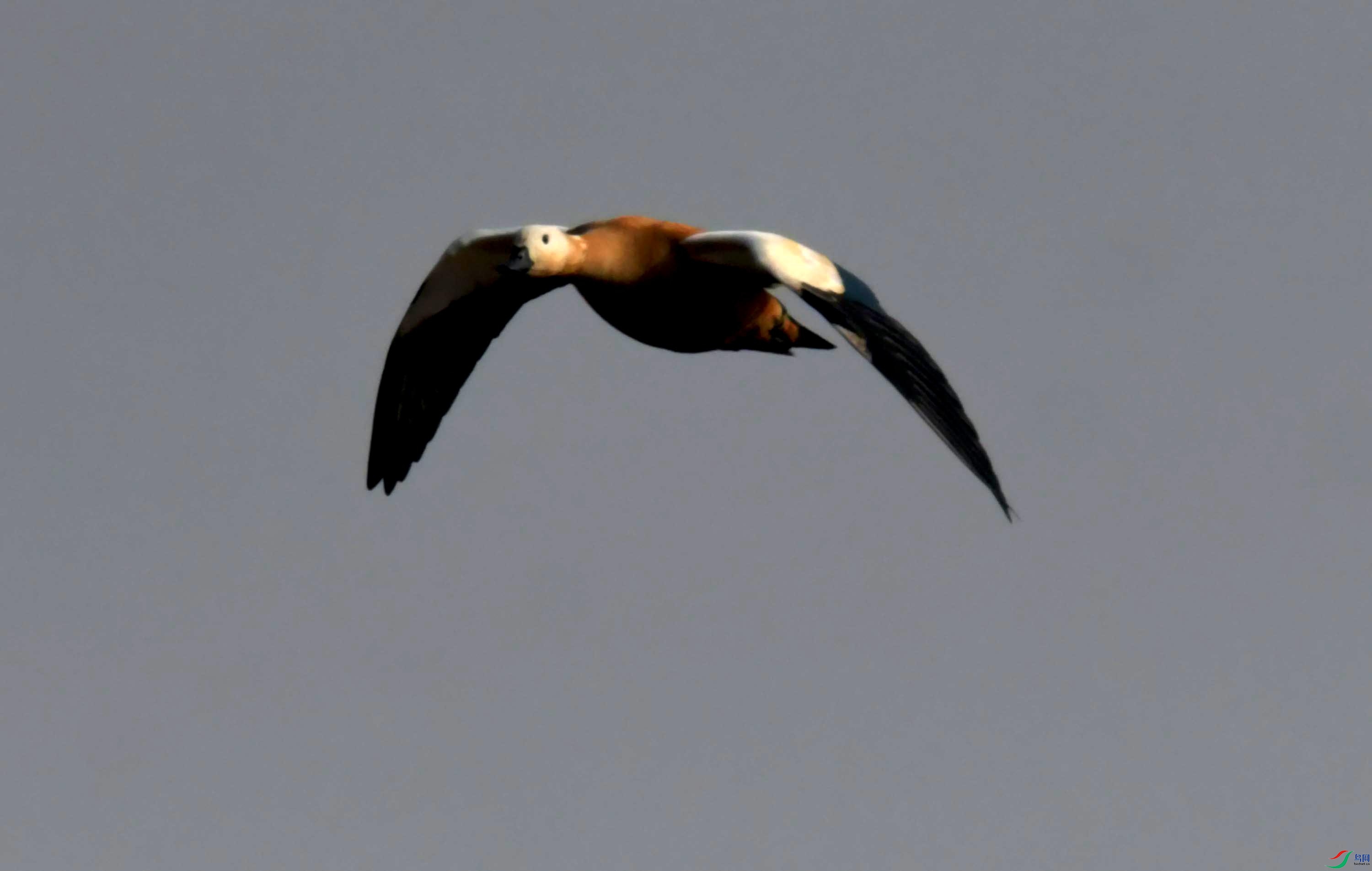 DSC_3509.JPG