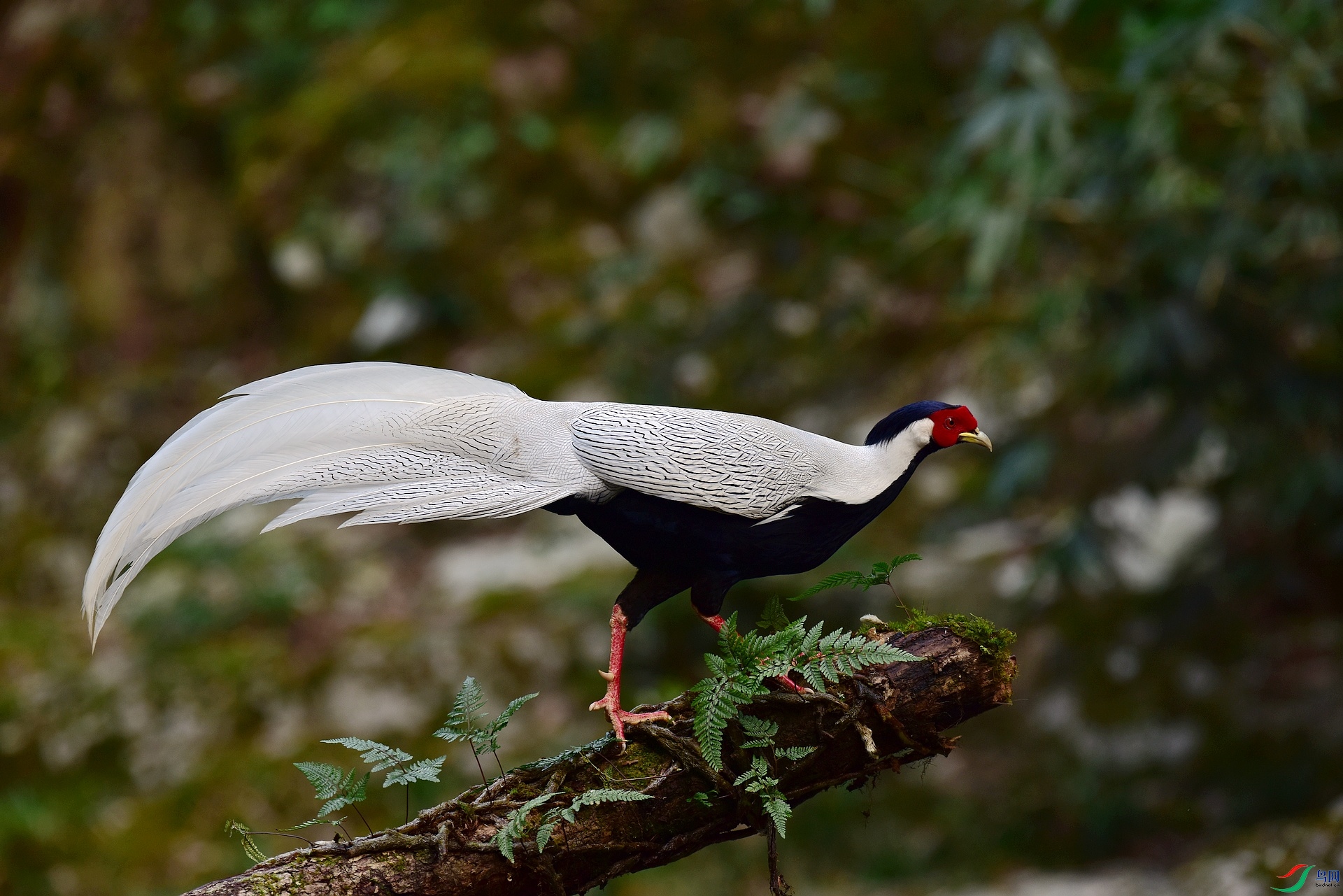 D8I_3979.jpg