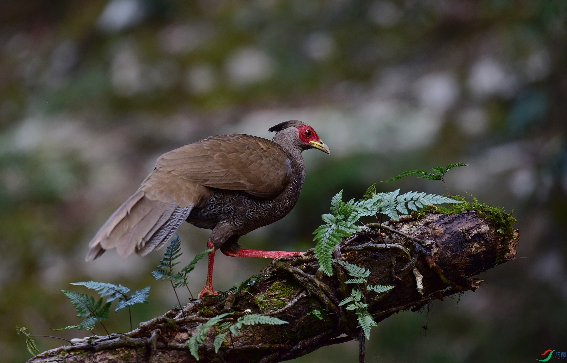 D8I_3730.jpg