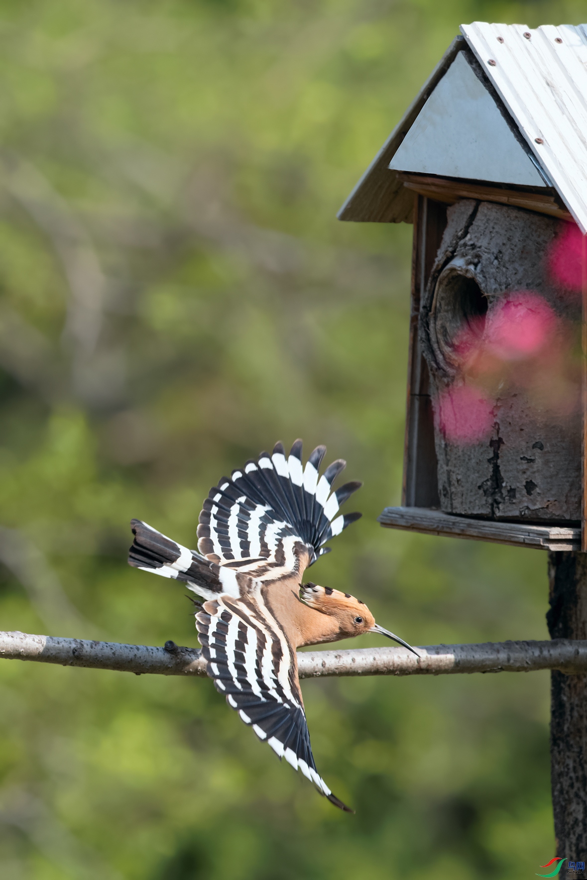 DSC_8775_DxOa.jpg