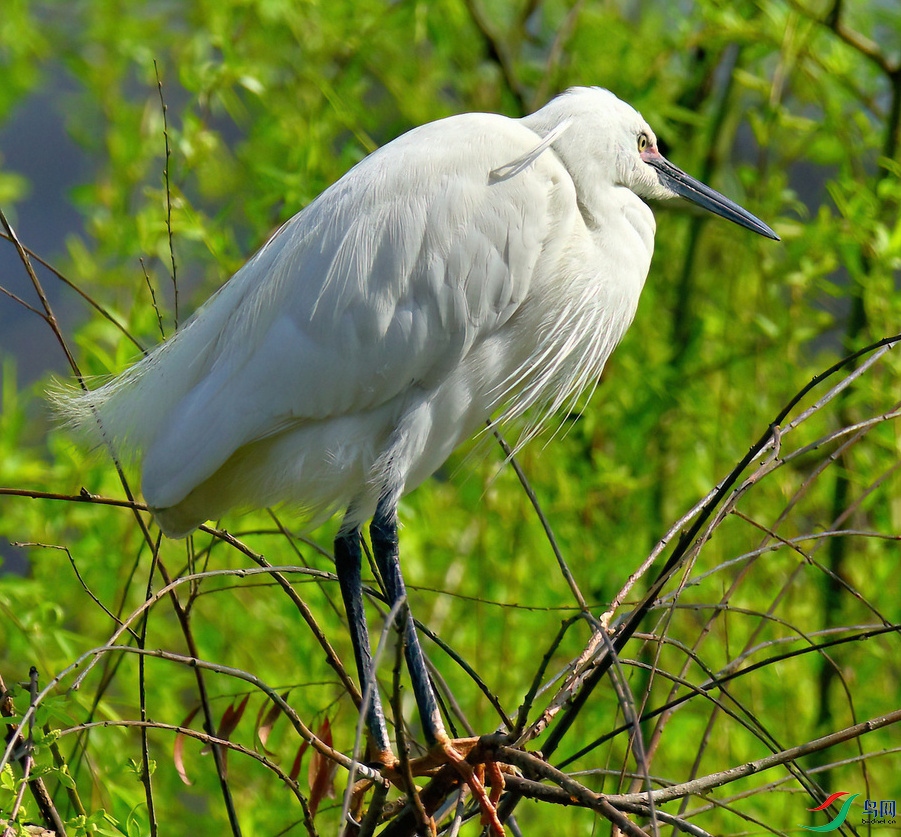 DSC_8197_3.JPG