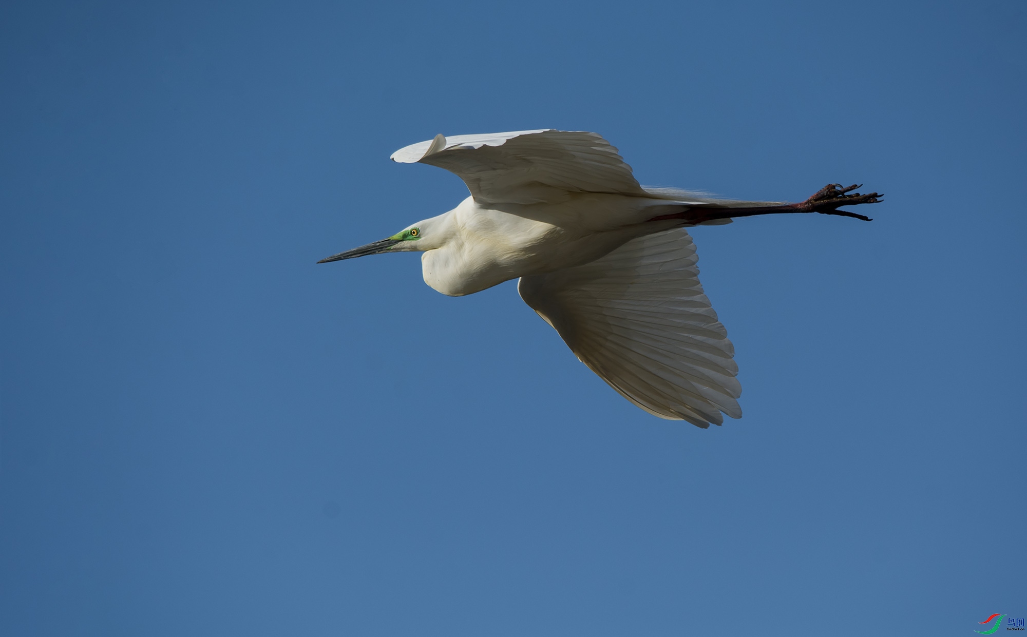 hn2018.04.04DSC_4714.jpg