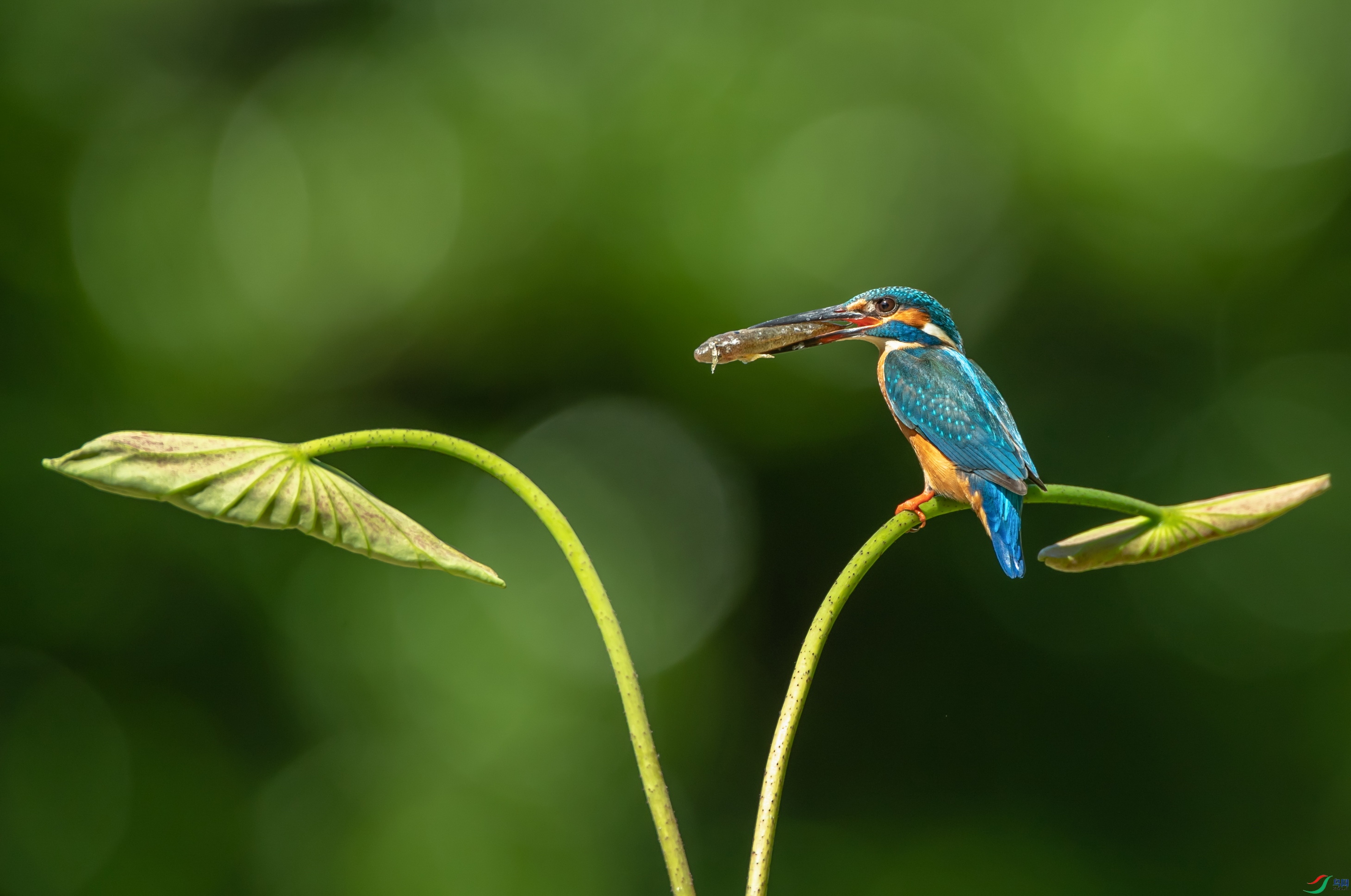 DSC_6847.jpg