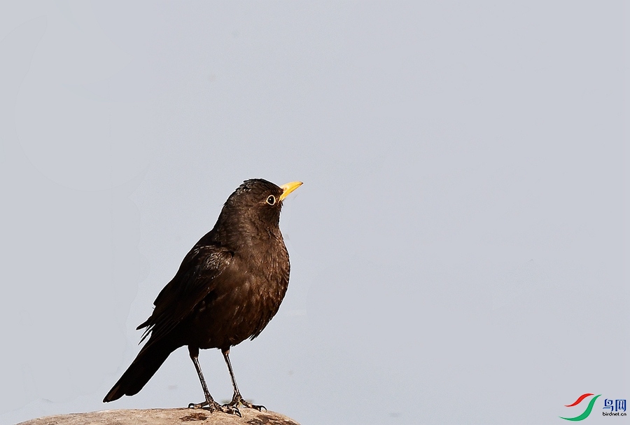DSC_7167.JPG