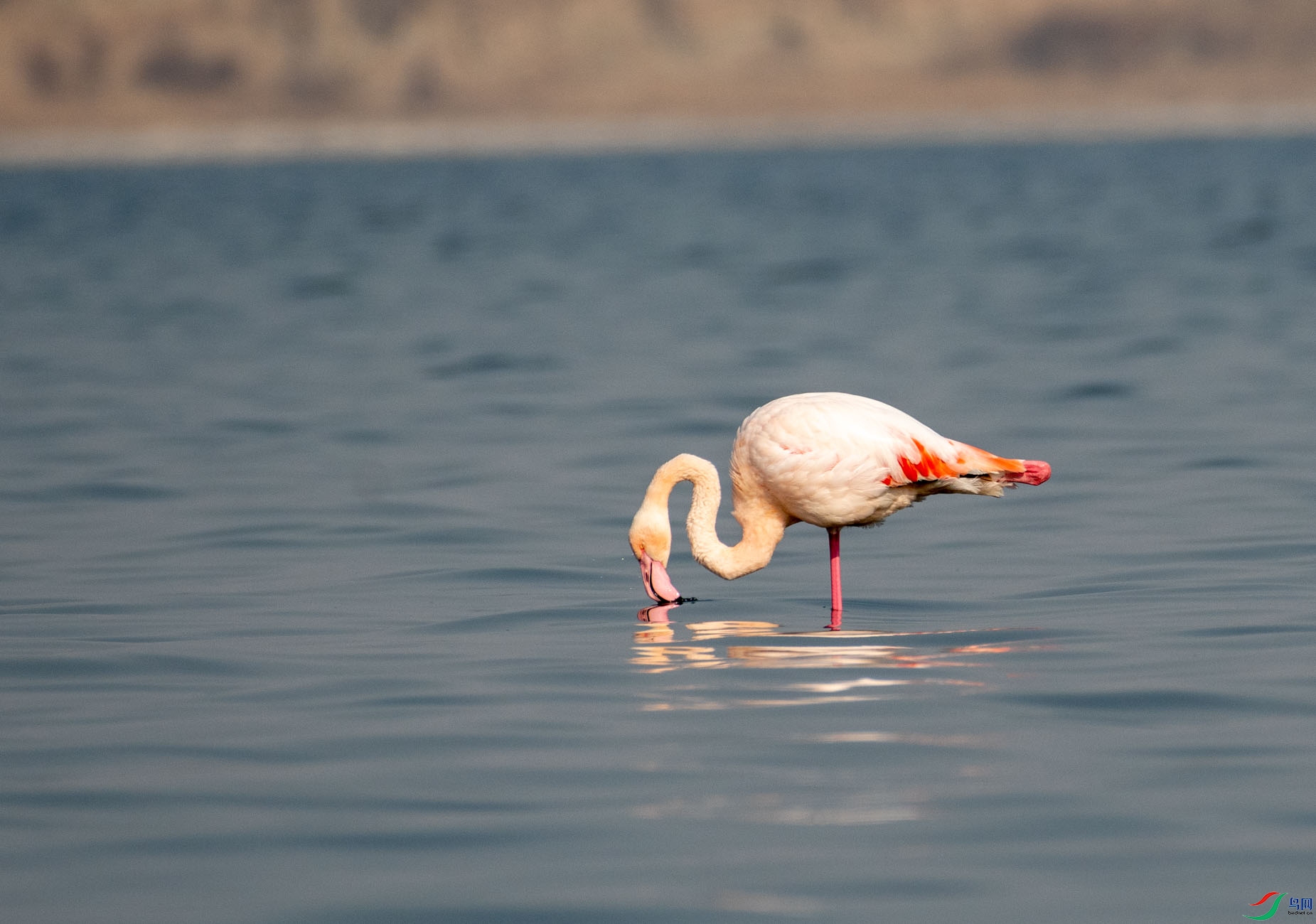 DSC_7870.jpg
