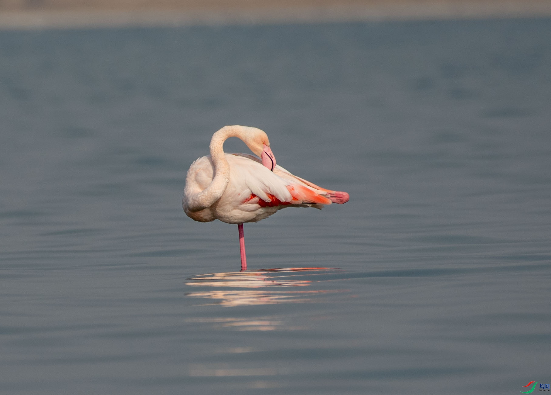 DSC_7918.jpg