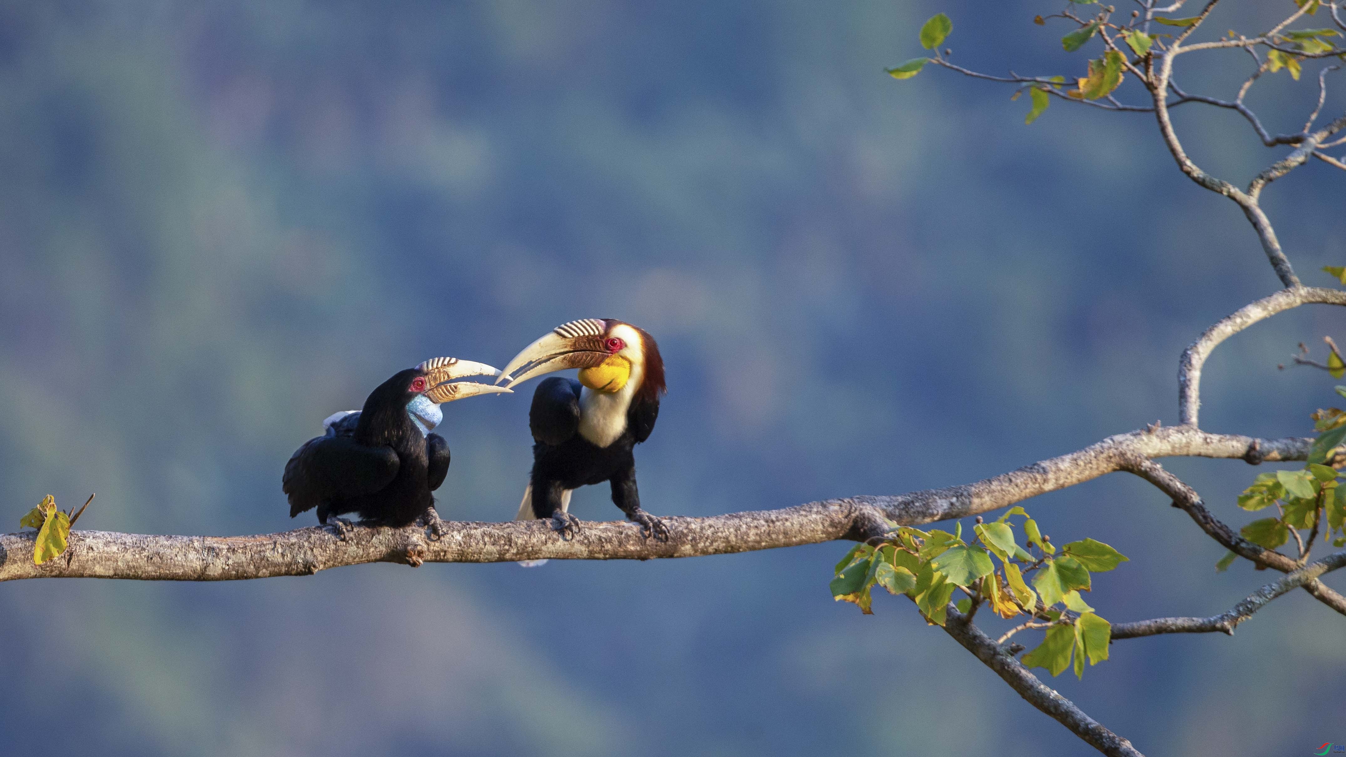 AK2Y3777 ����.jpg