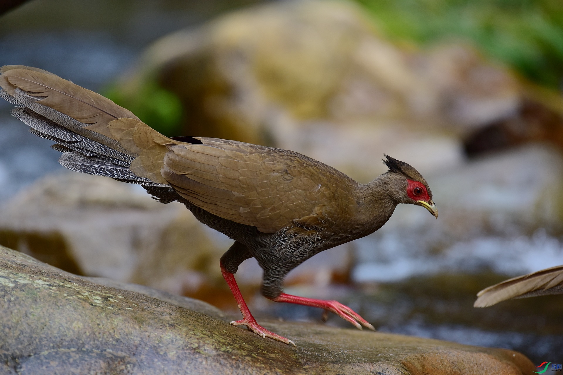 D8I_3598.jpg