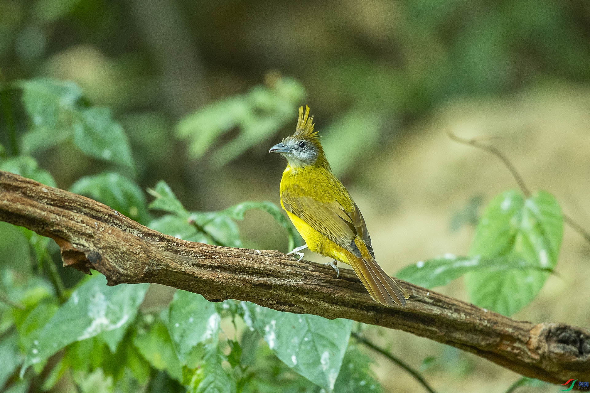 CD0I0432 ����.jpg