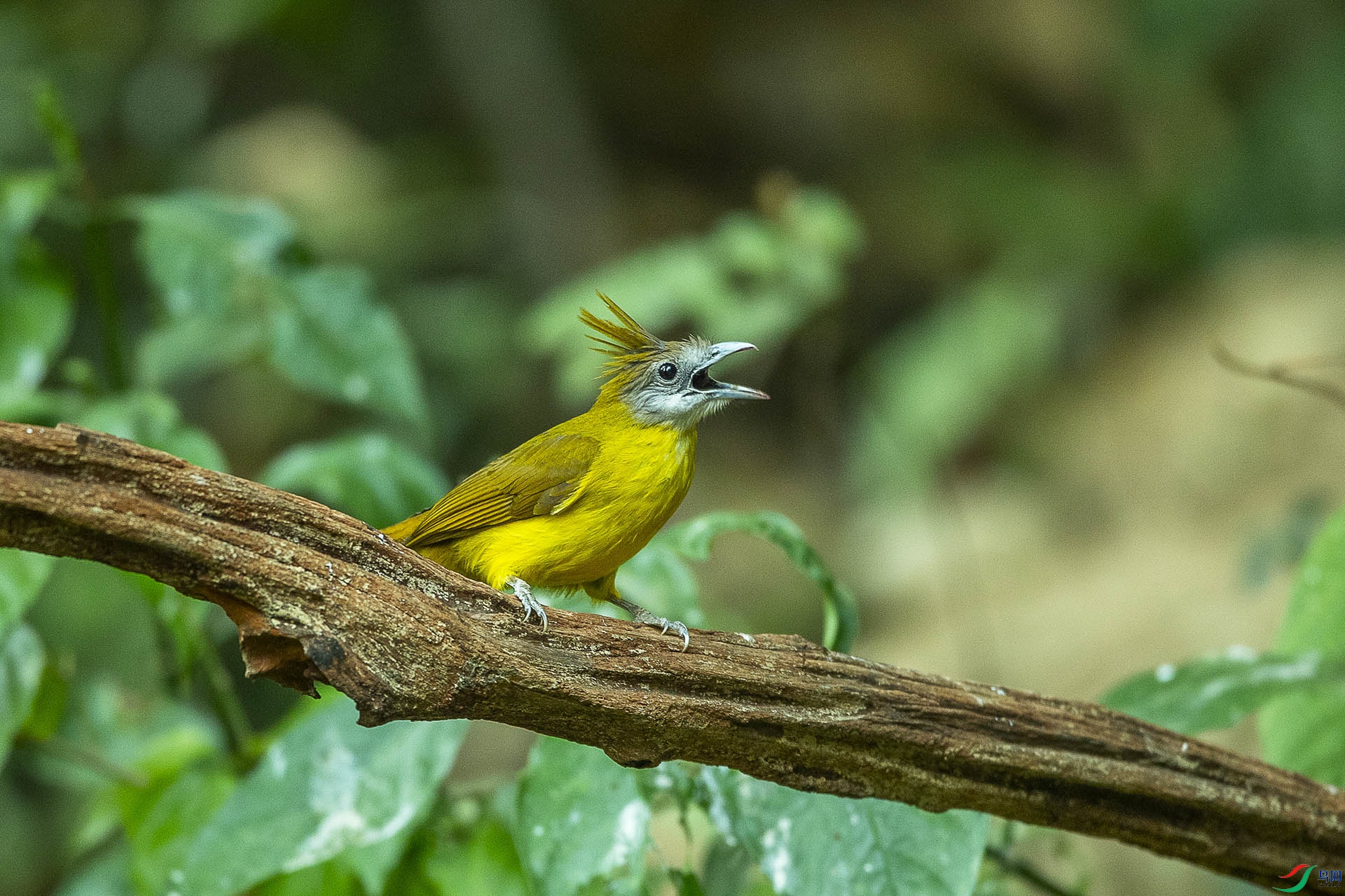 CD0I0414 ����.jpg