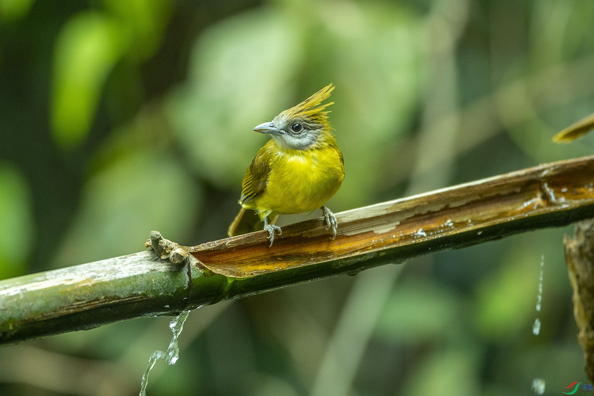 CD0I1086 ����.jpg