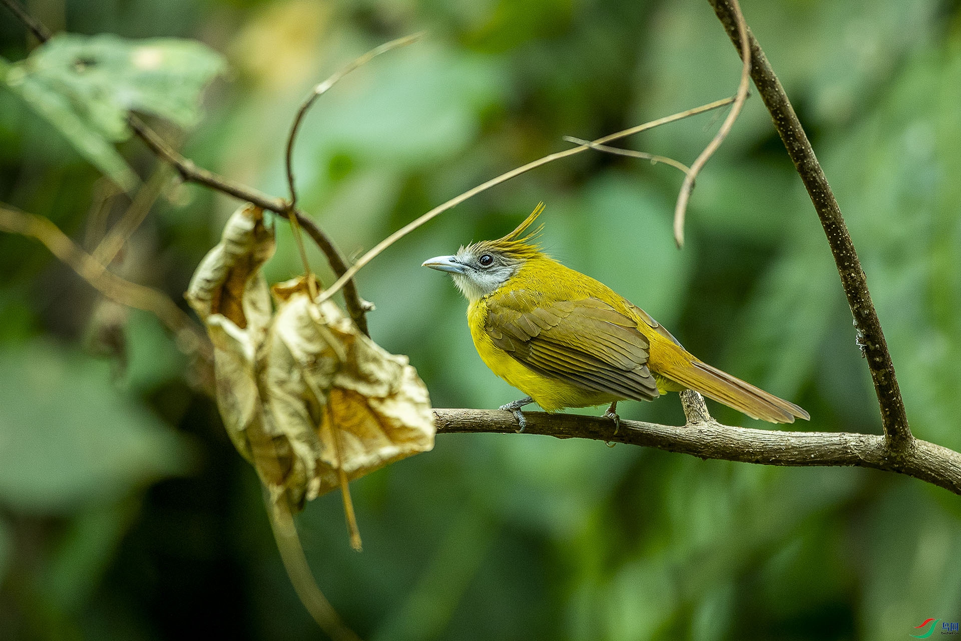 CD0I1105 ����.jpg