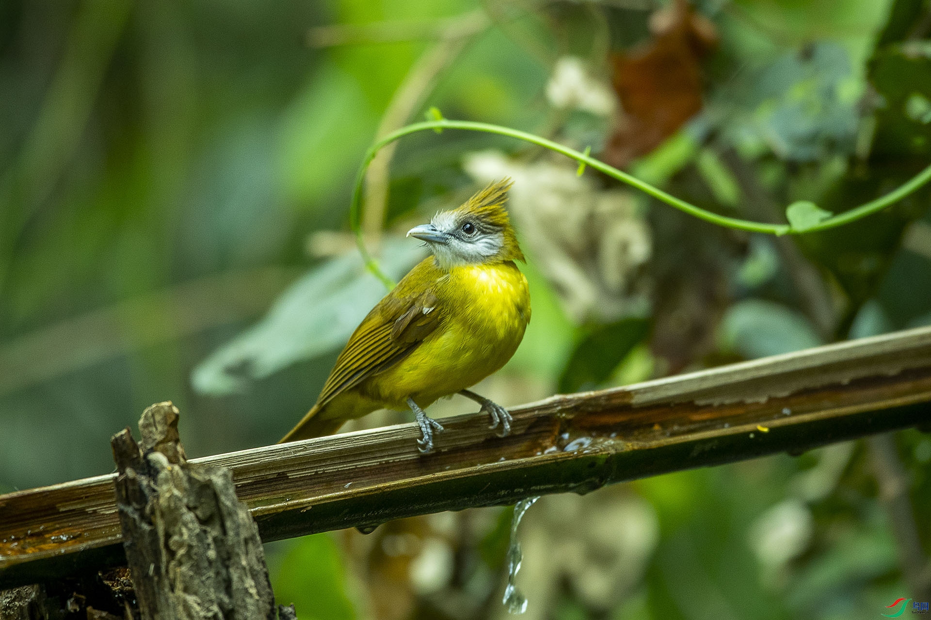 CD0I0731 ����.jpg