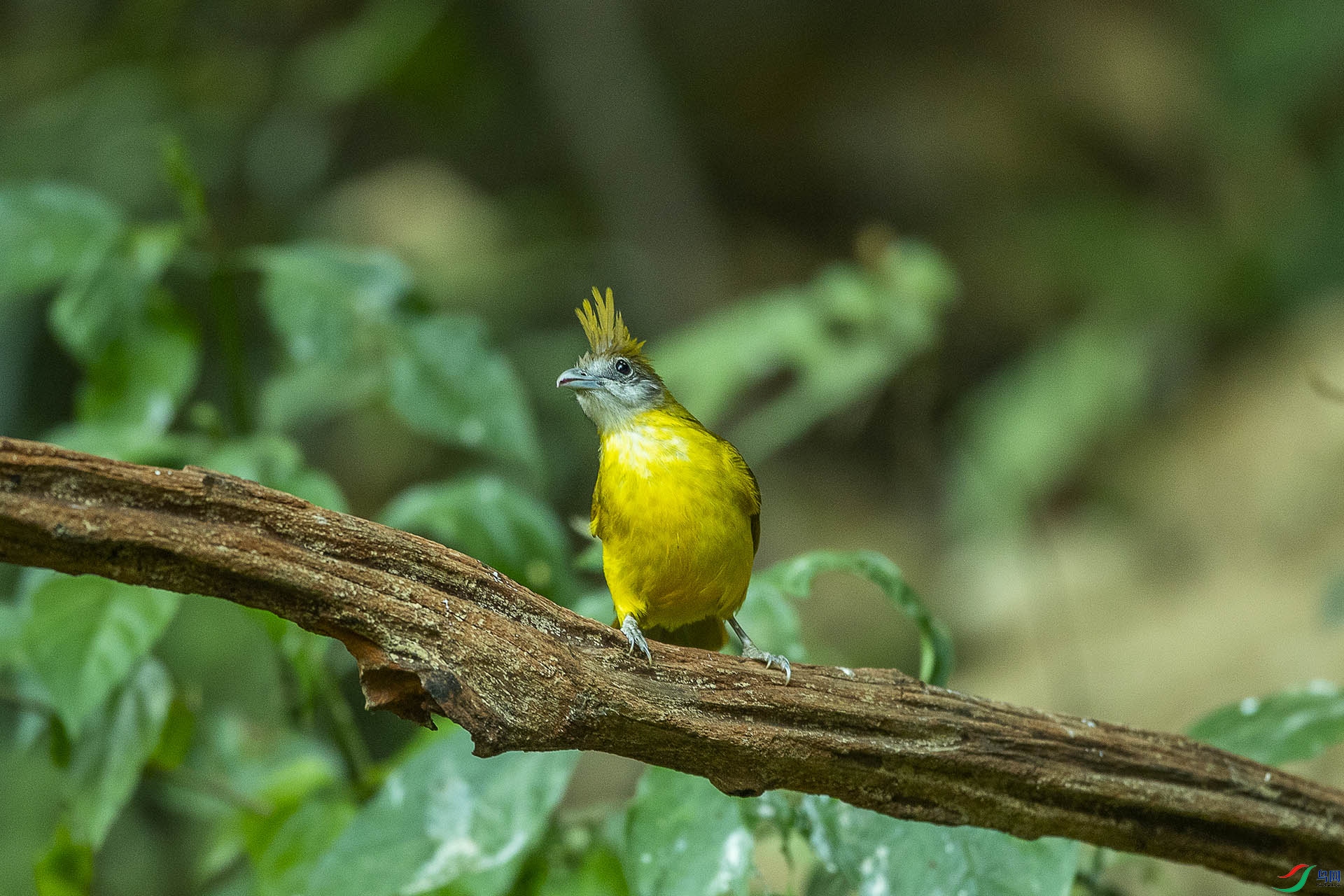 CD0I0408 ����.jpg