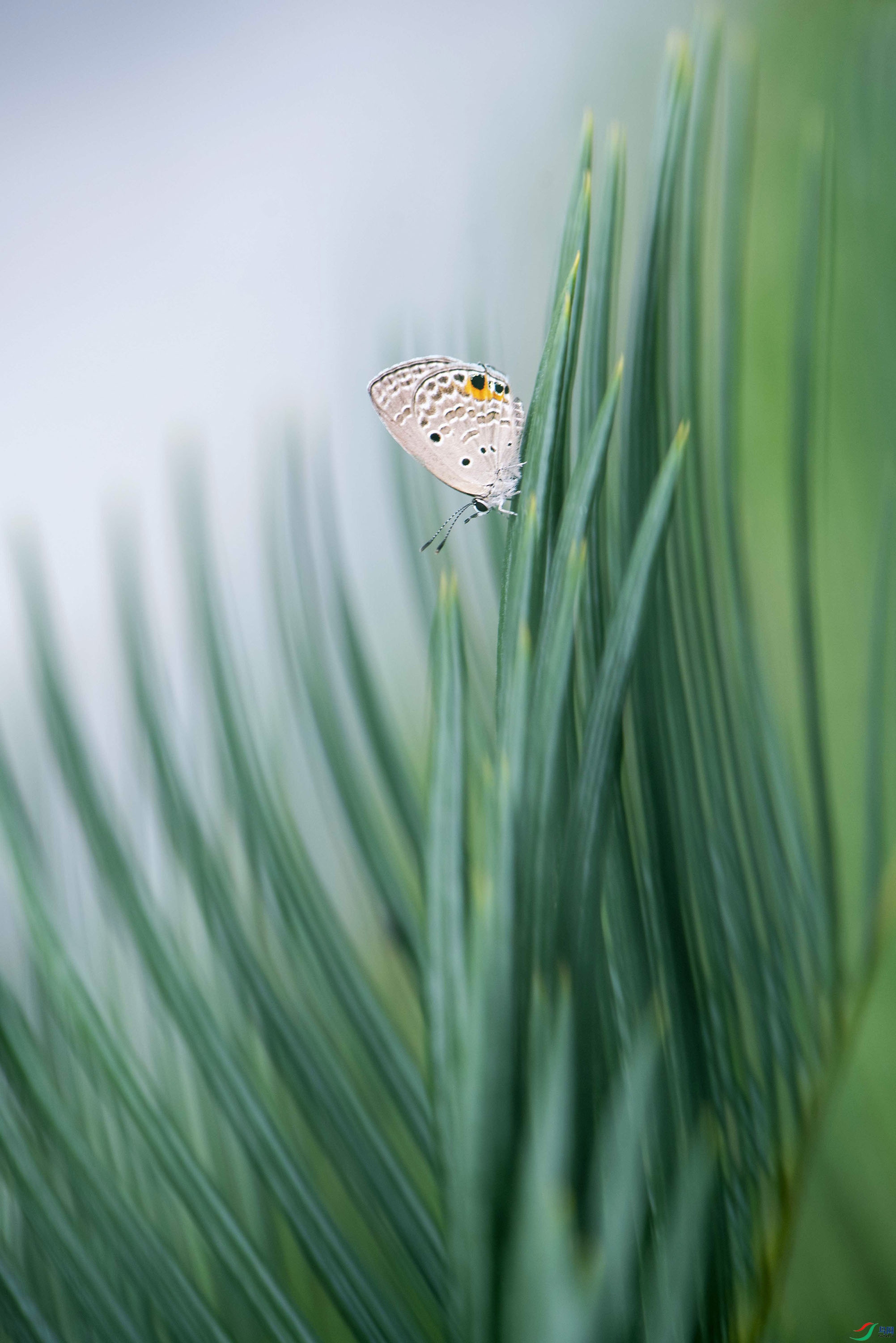 DSC_2877.jpg