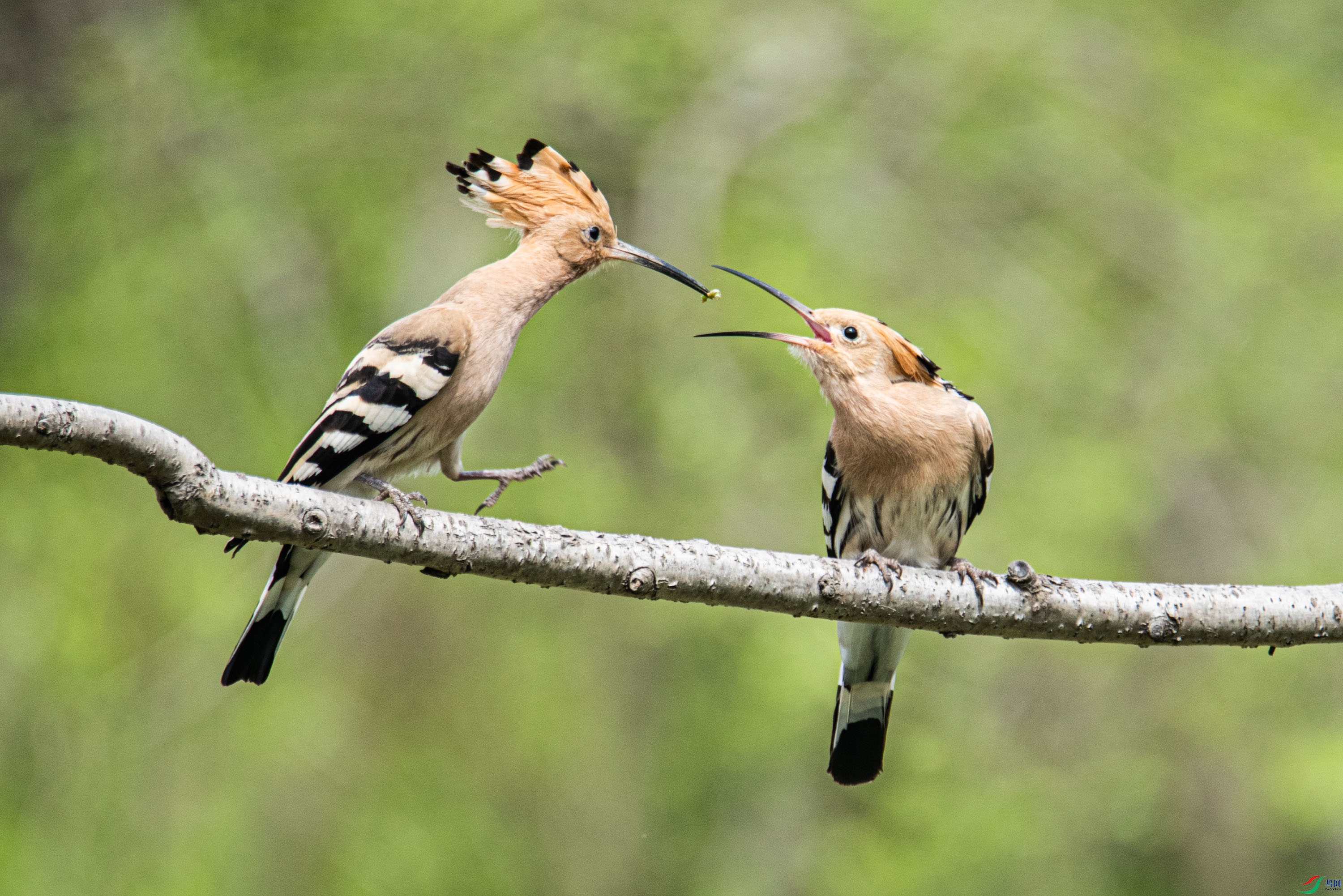 DSC_3704-2.jpg