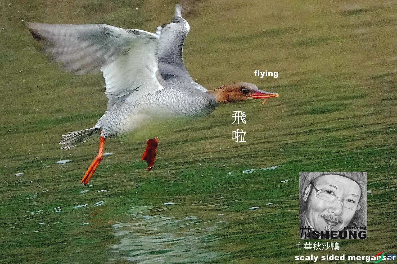 sd DSC09463 3nmete.jpg