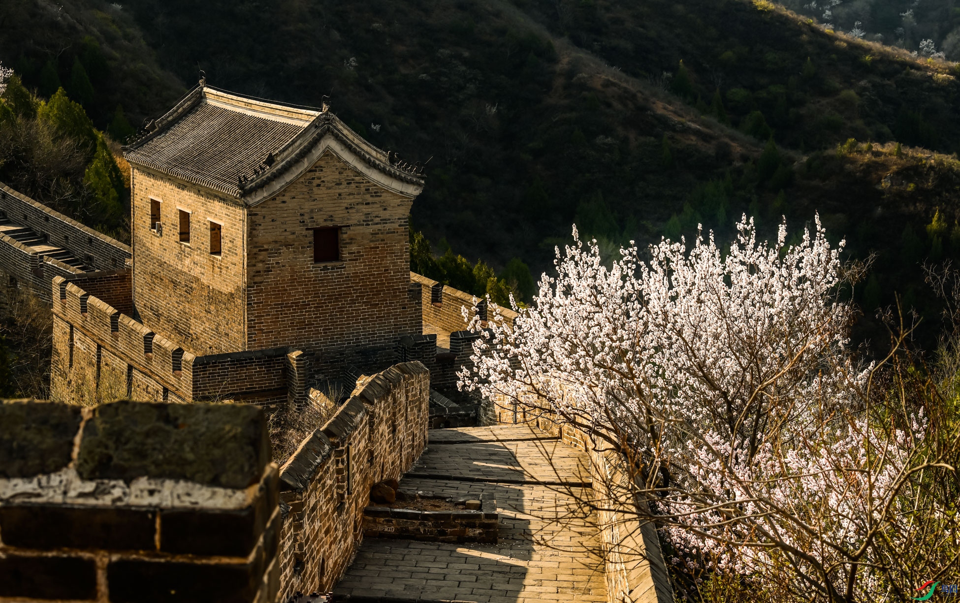 �����ӻ�