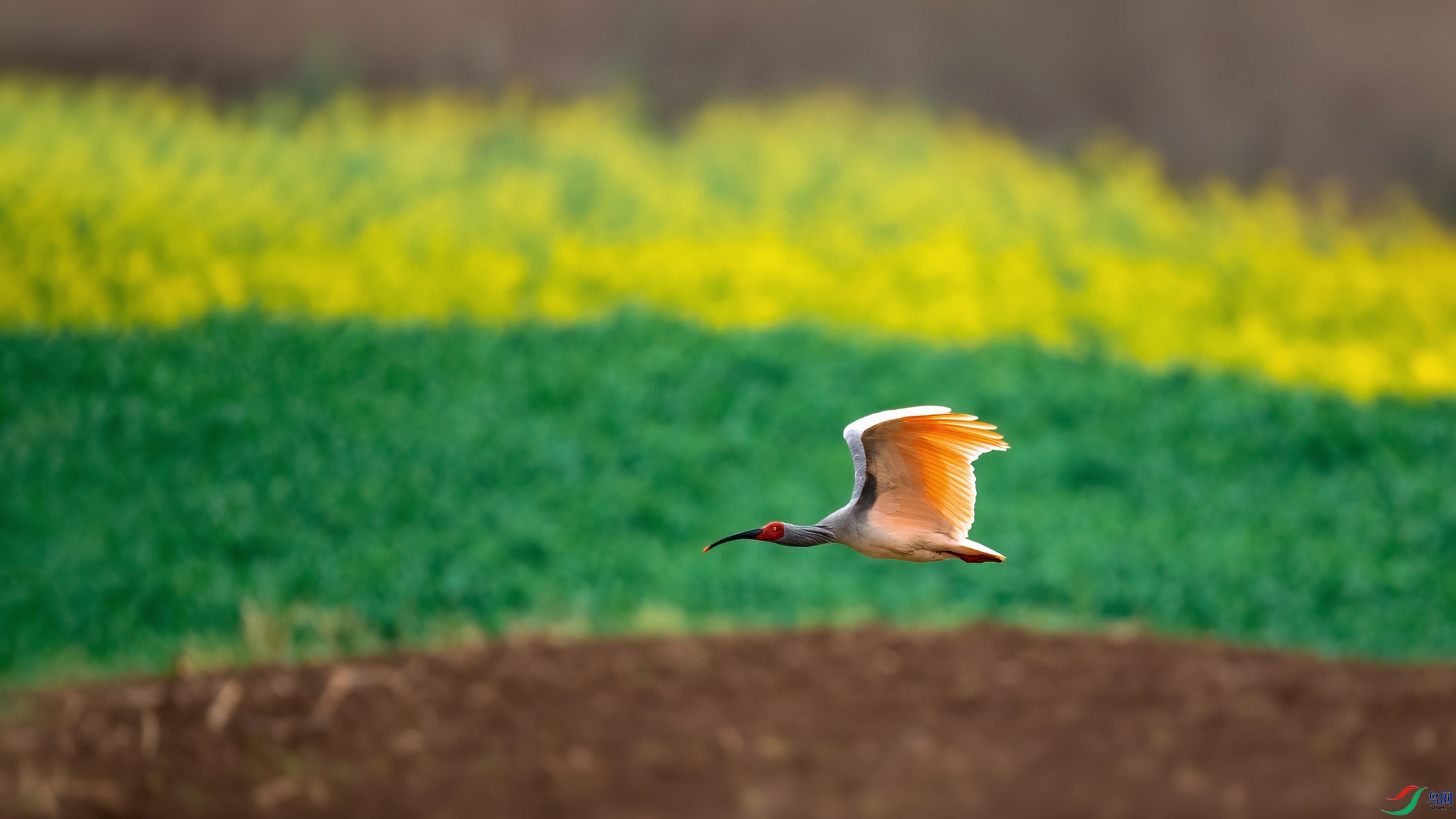 DSC_8848 ���� 2_����.jpg