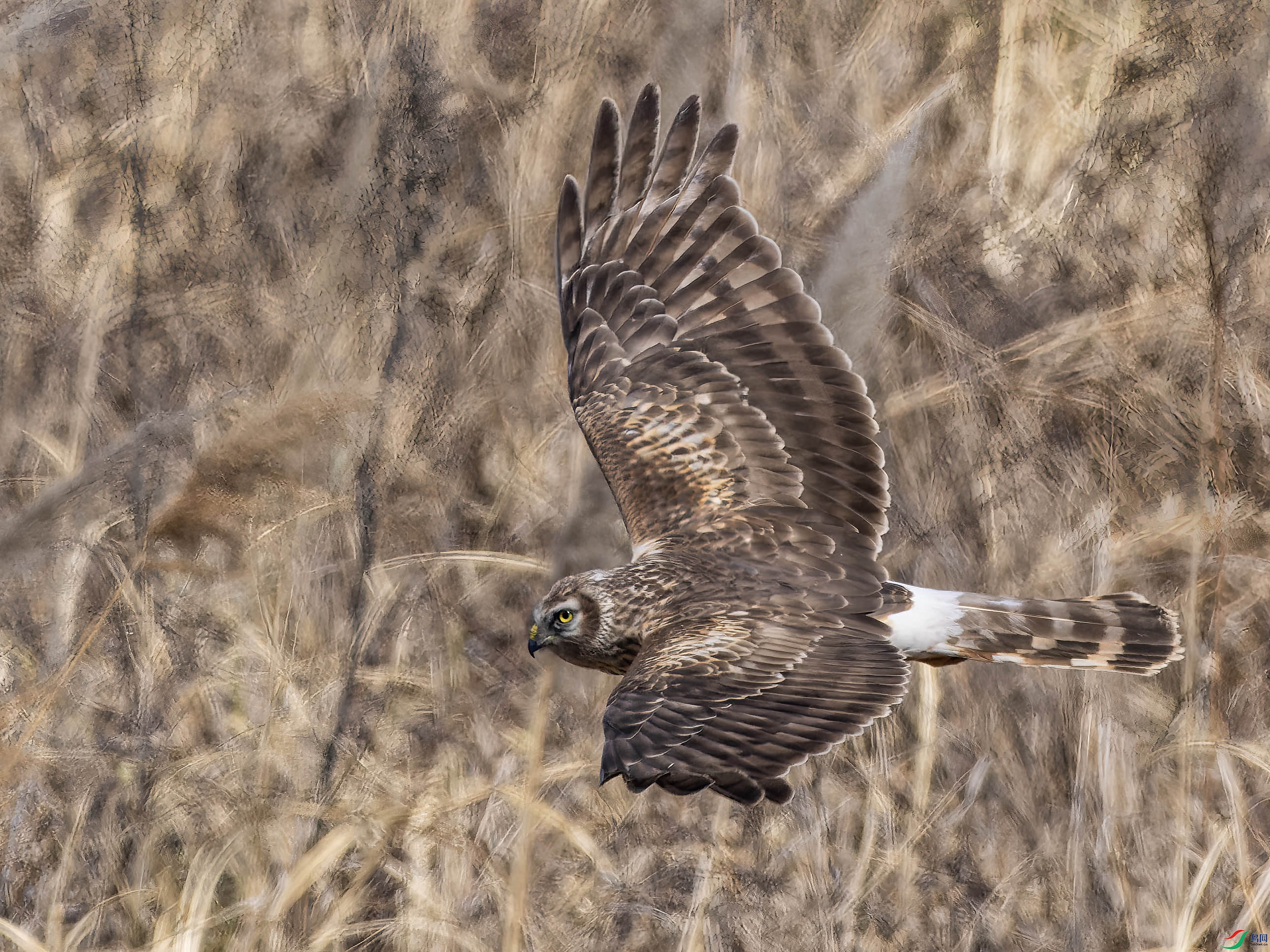 01 ���� 2.jpg