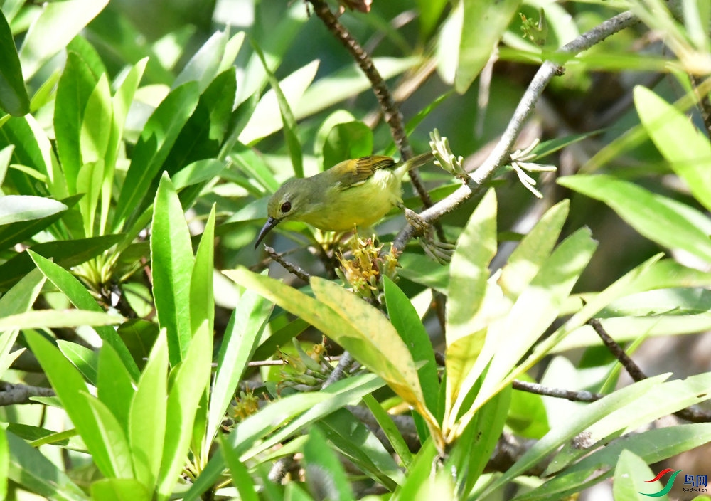 DSC_5940_����.JPG
