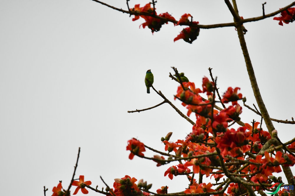 DSC_6058.JPG