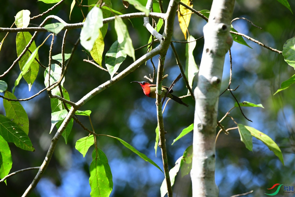DSC_6263.JPG