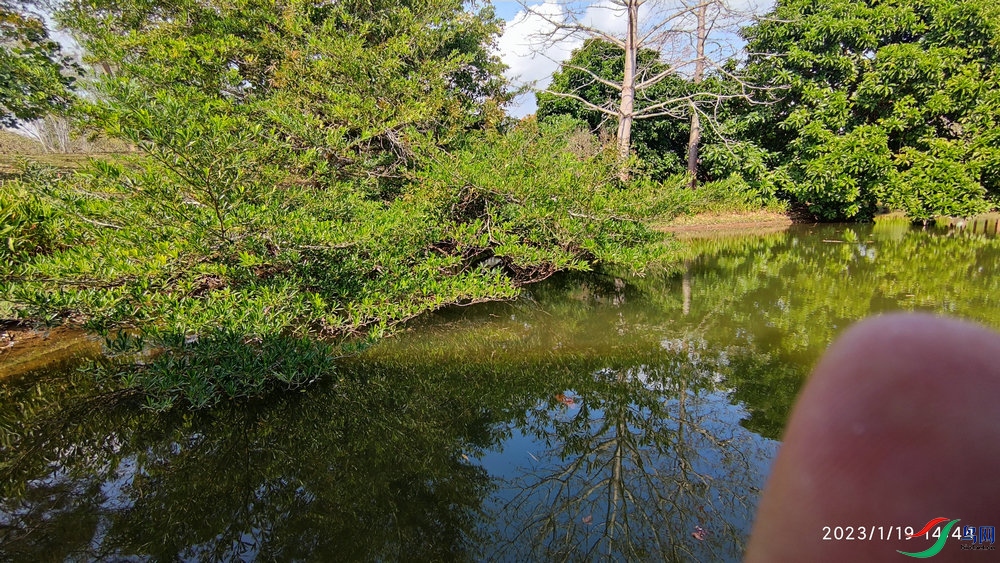 IMG_20230119_144430.jpg