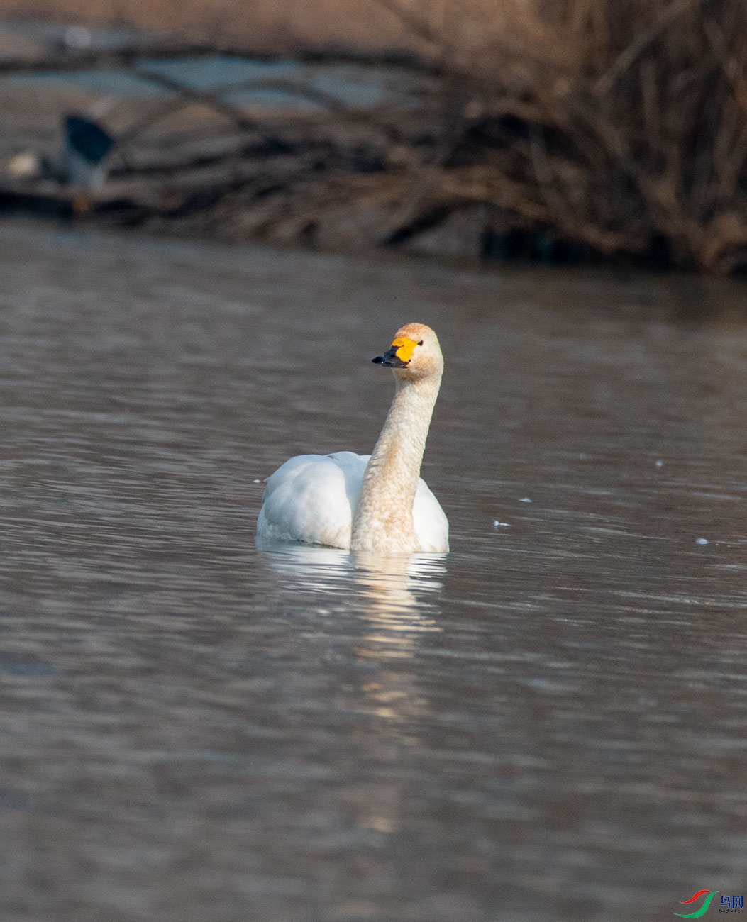 DSC_1124.jpg