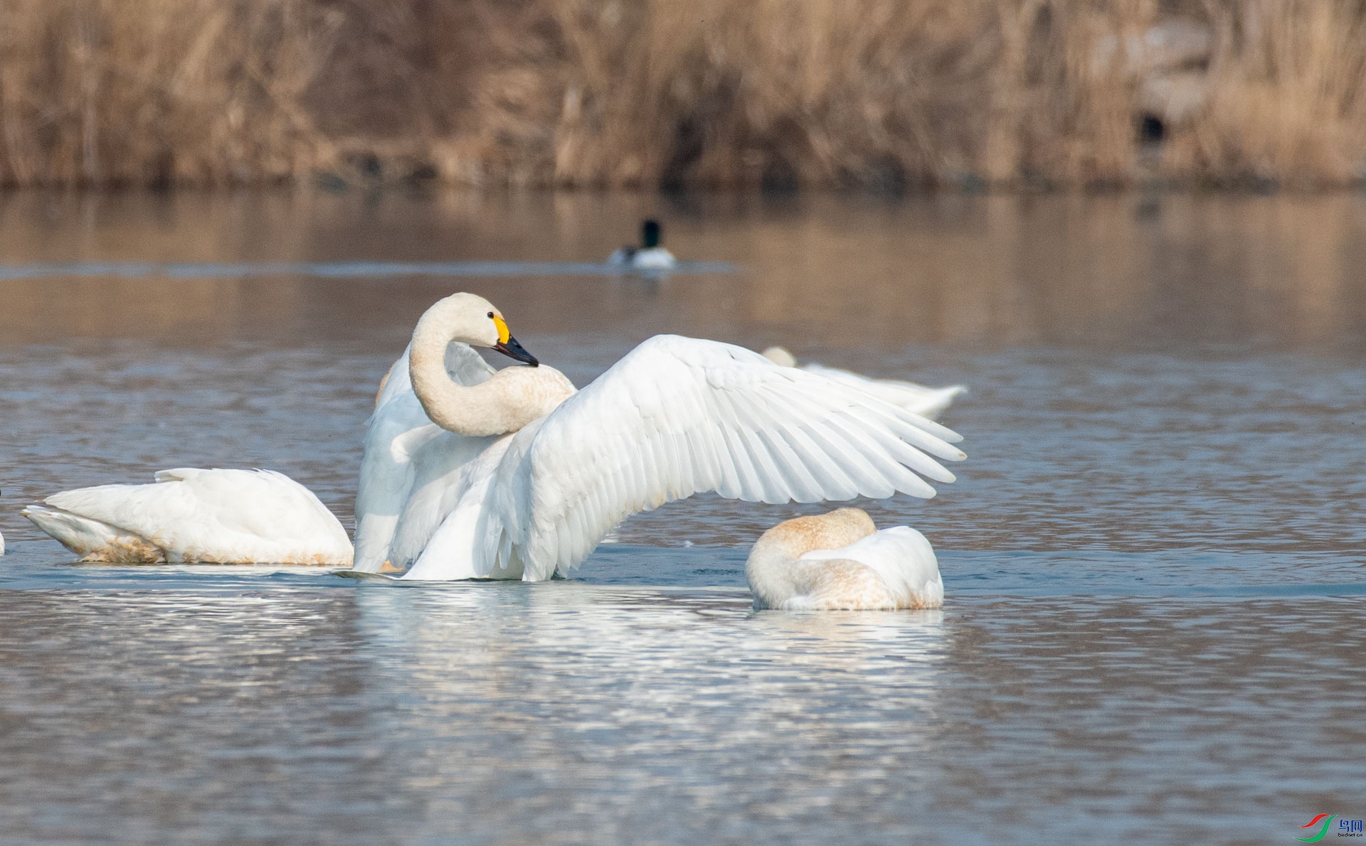 DSC_1182.jpg
