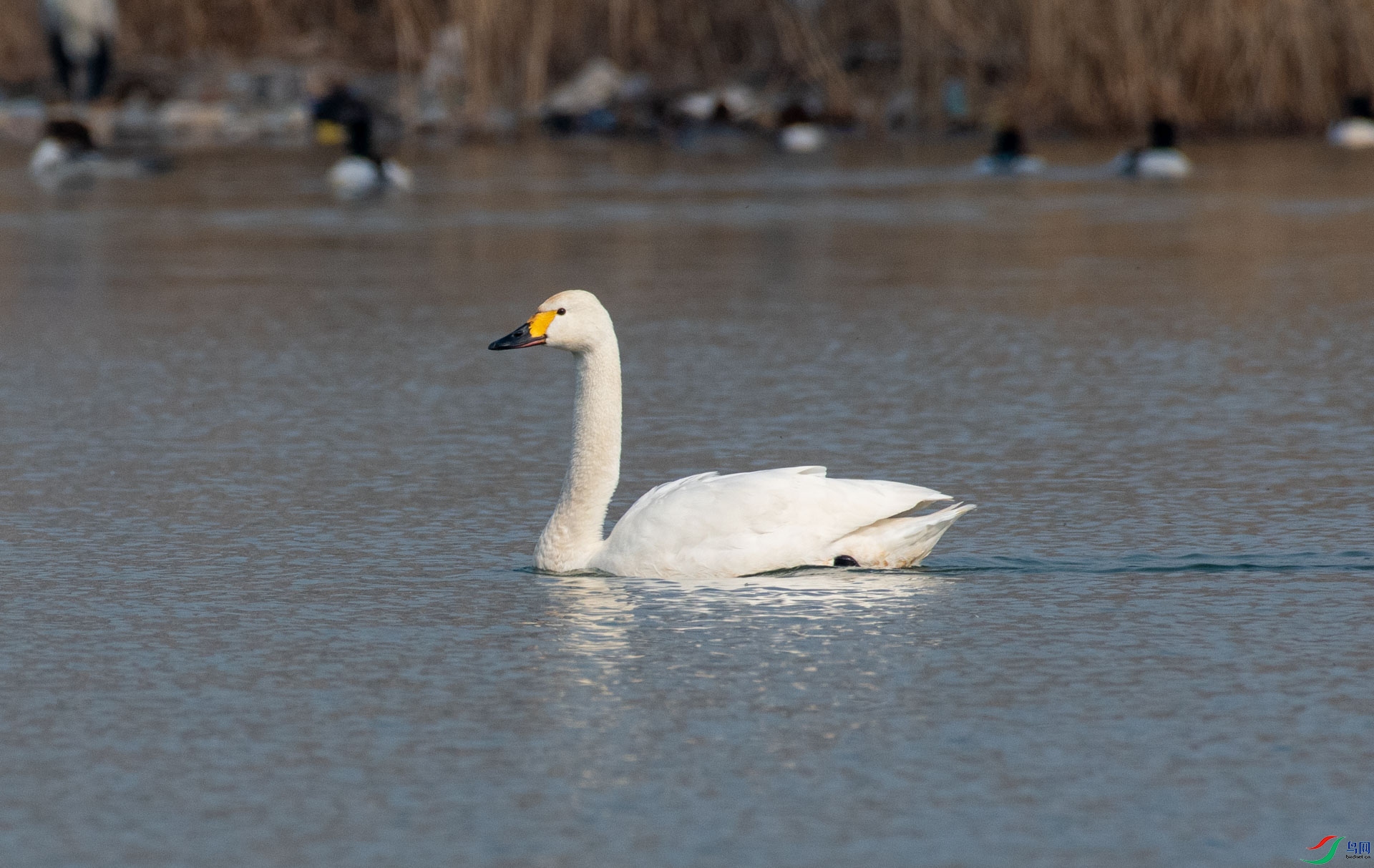 DSC_1223.jpg