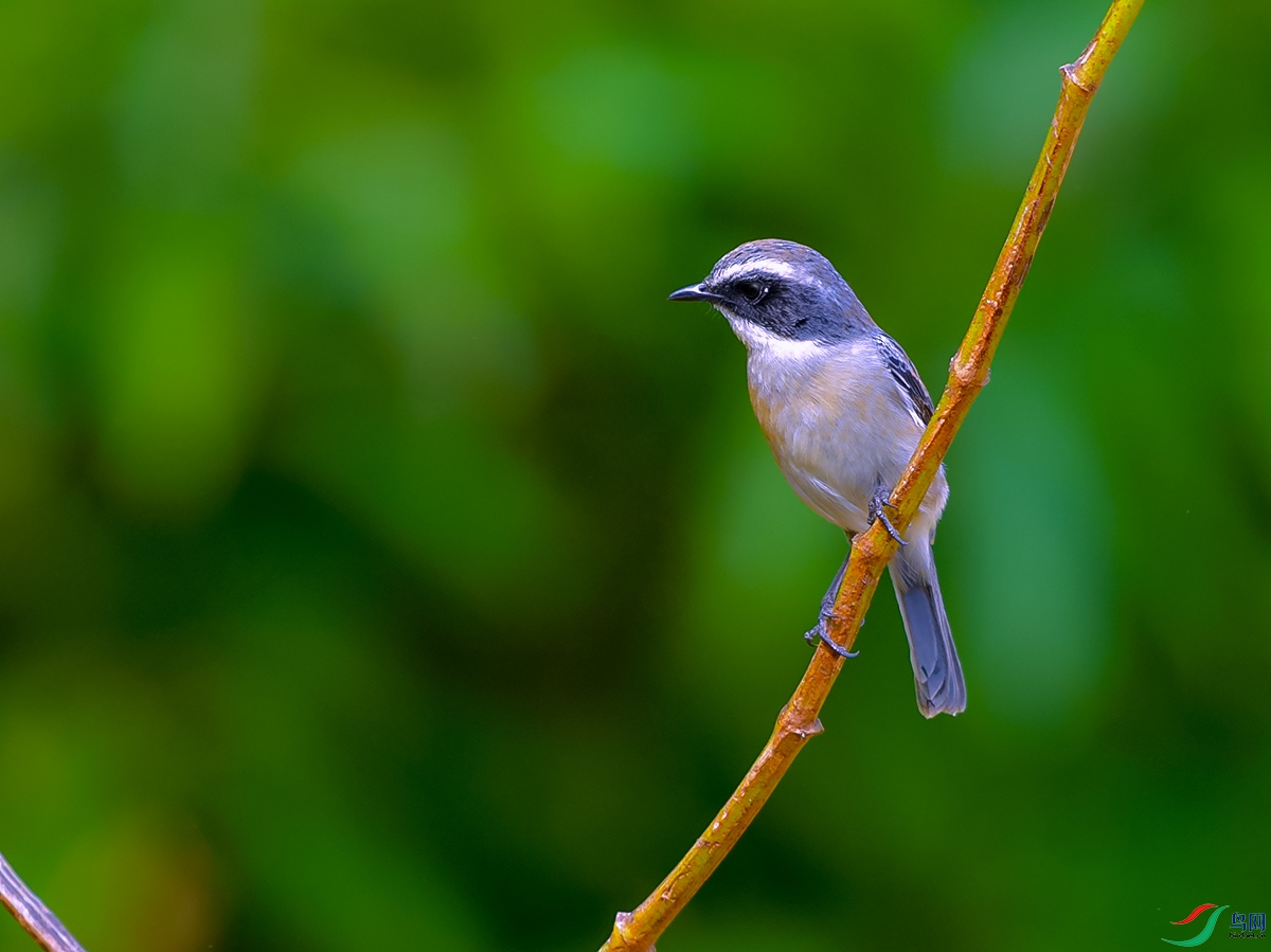 DSC_3418.JPG