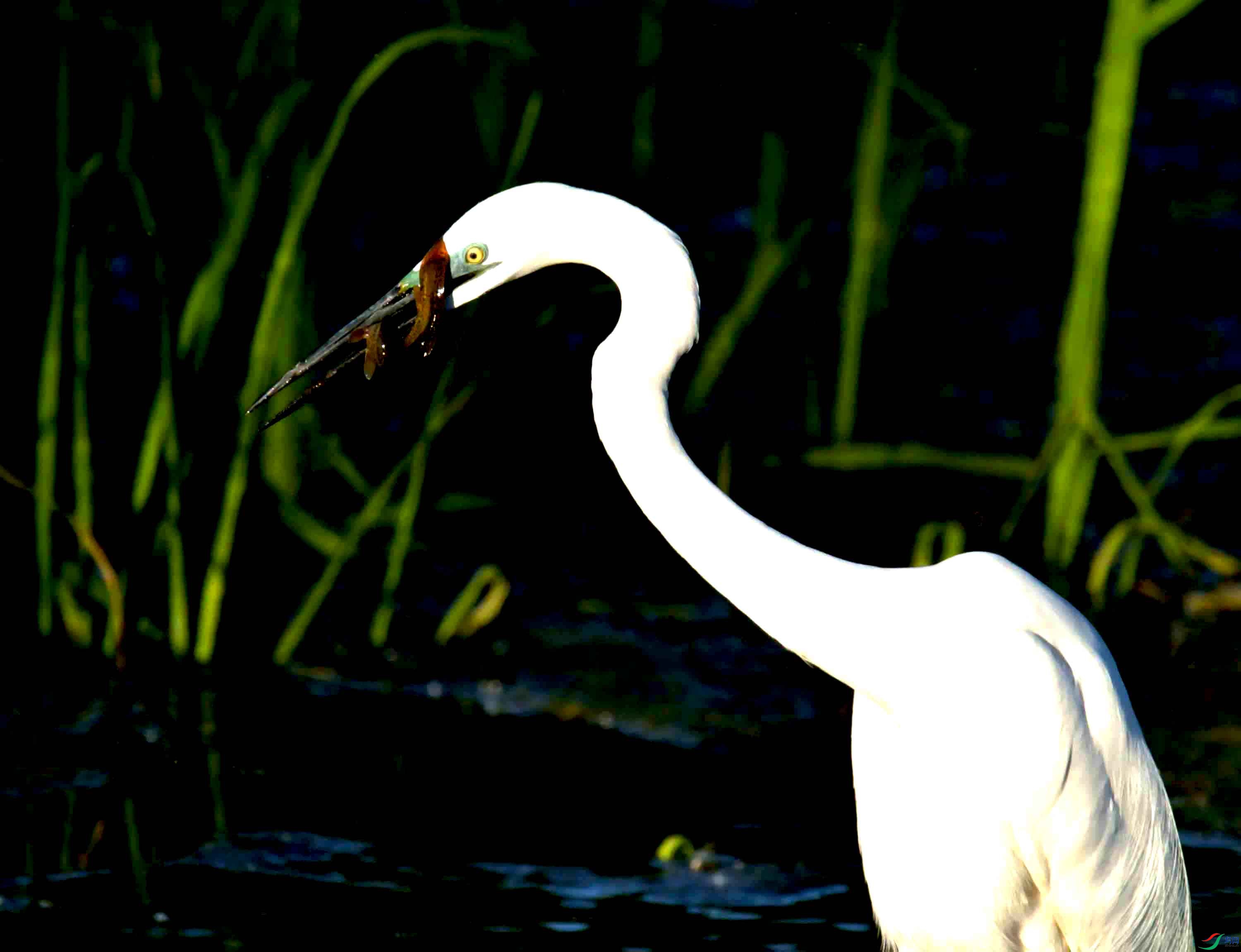 DSC_0903.JPG