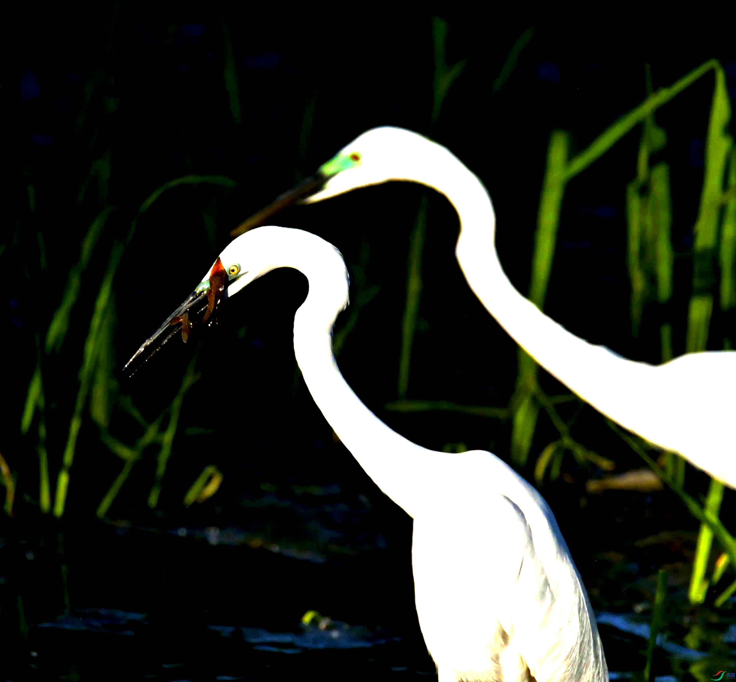 DSC_0907.JPG
