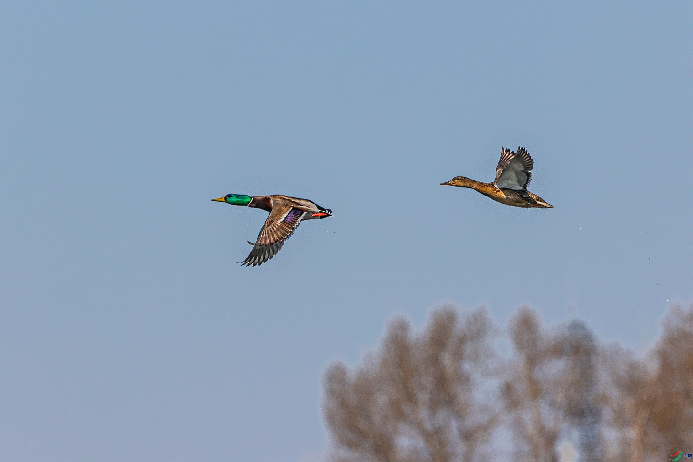 1K3A8167 ����1.jpg