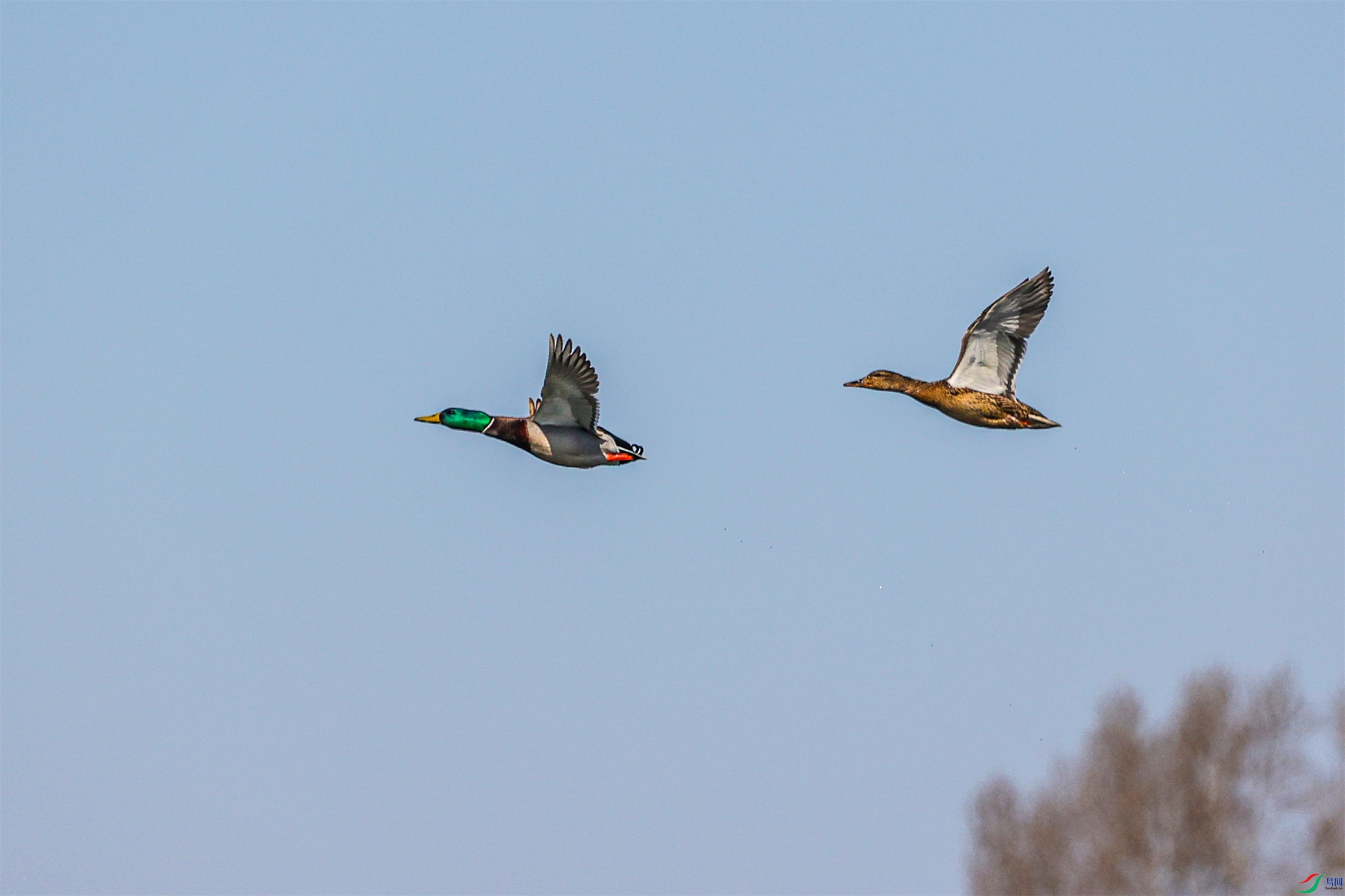 1K3A8169 ����1.jpg