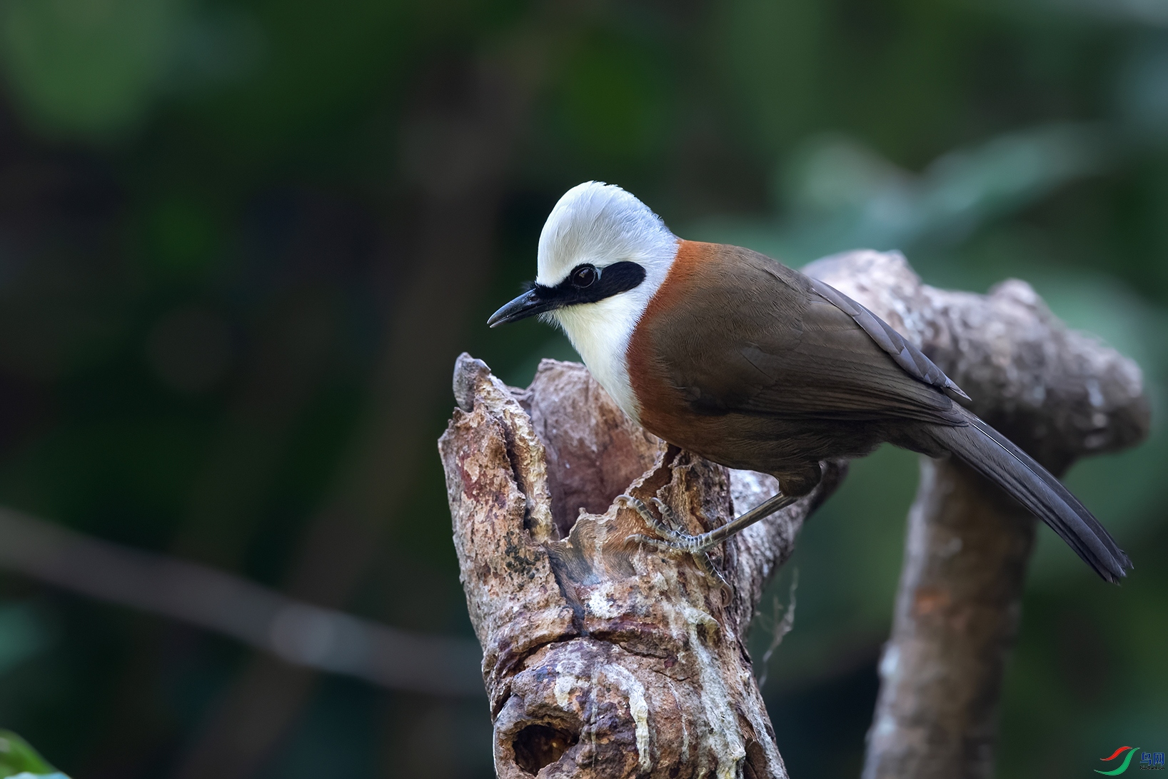 DSC_6287_DxOa.jpg
