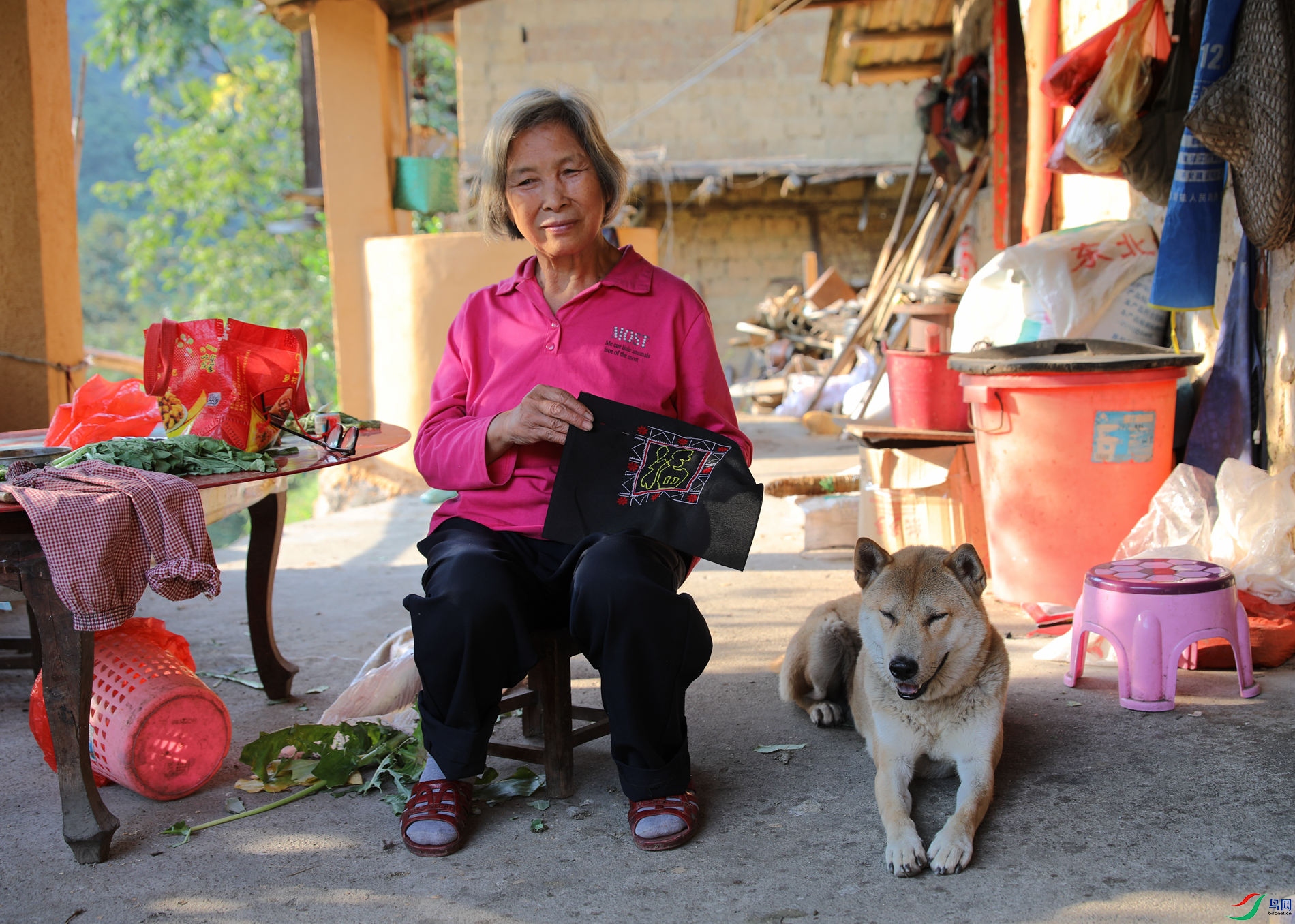 ɽկ��������