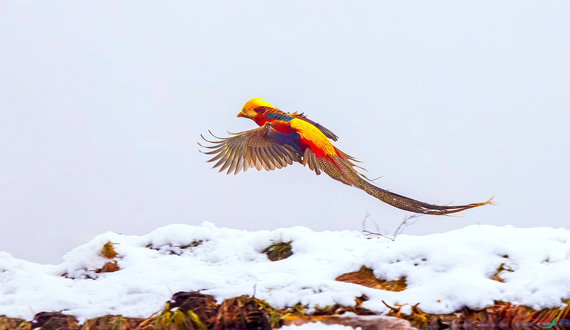 407A1658-D1+.jpg