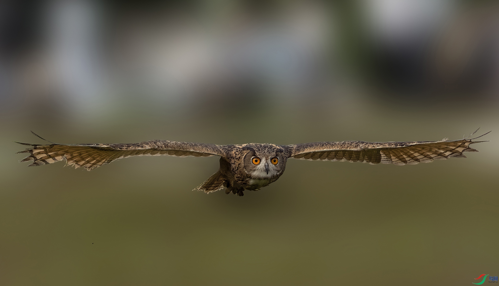 a3d000b5b427360f5518223e8bf9a81 ����.jpg