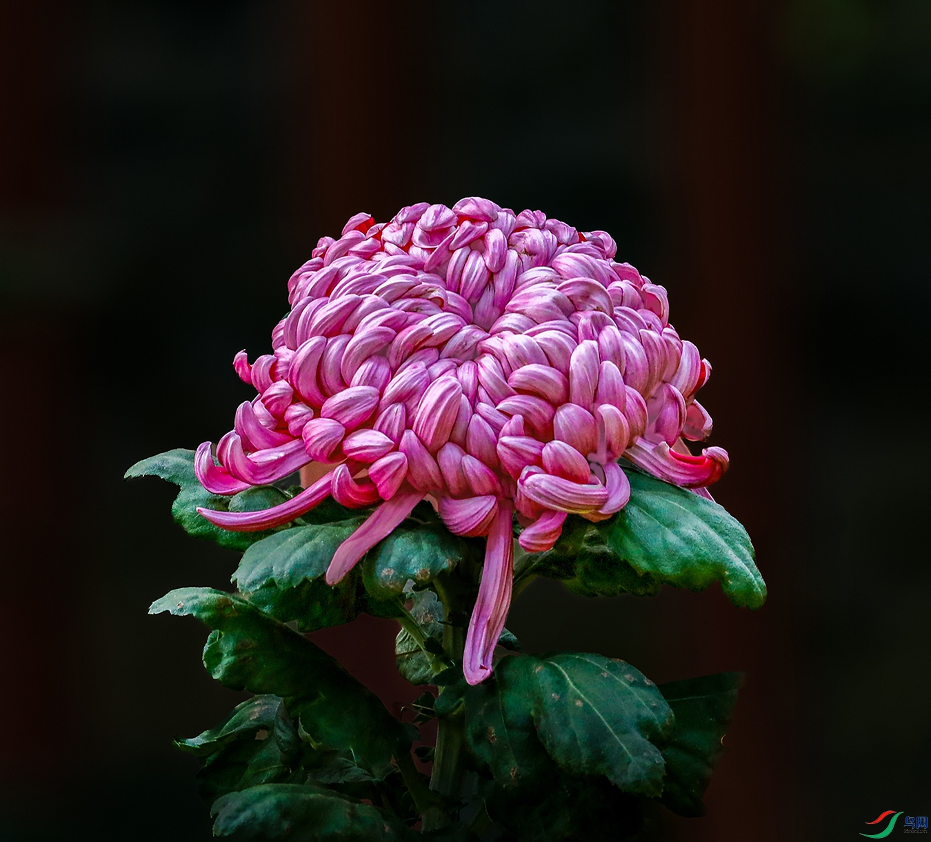 00000583A0248 ����1000k.jpg