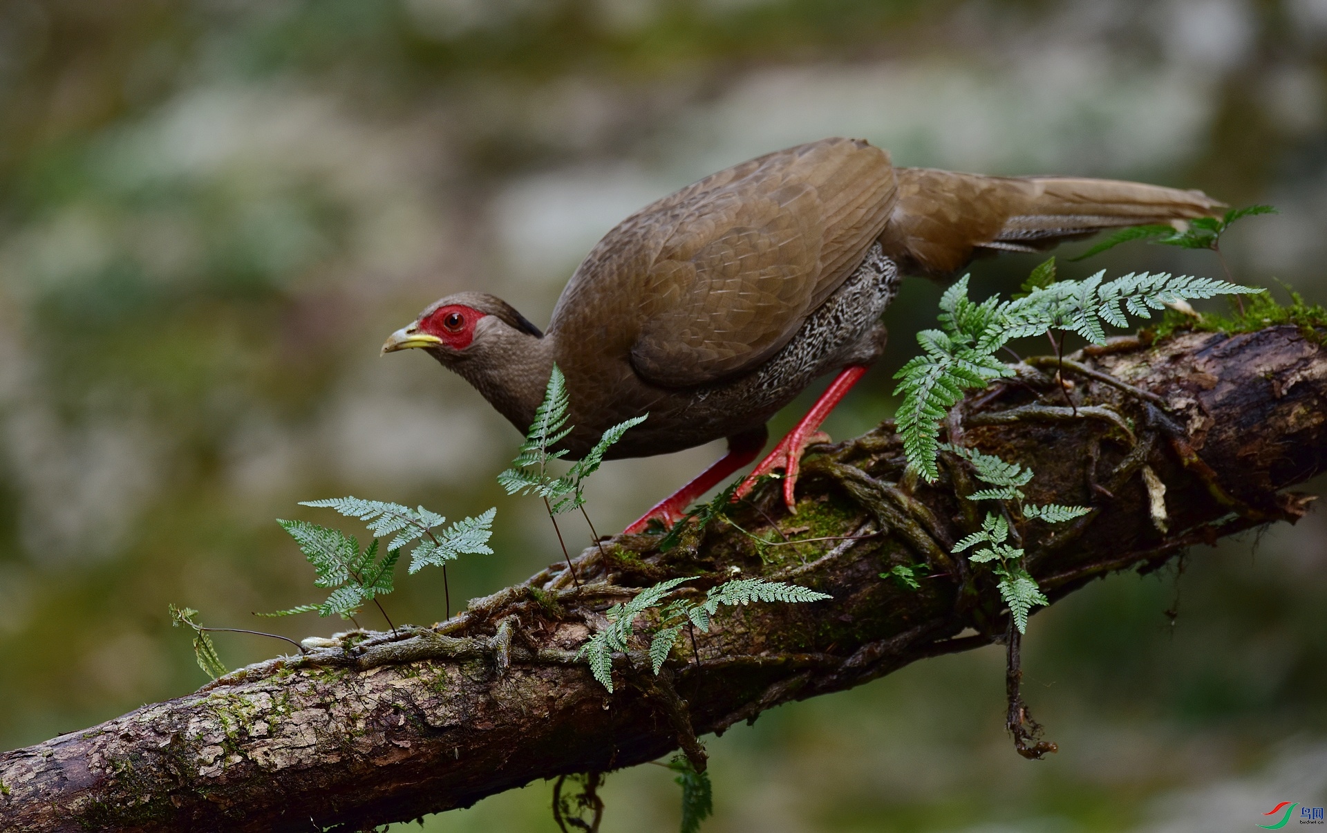 D8I_3649.jpg